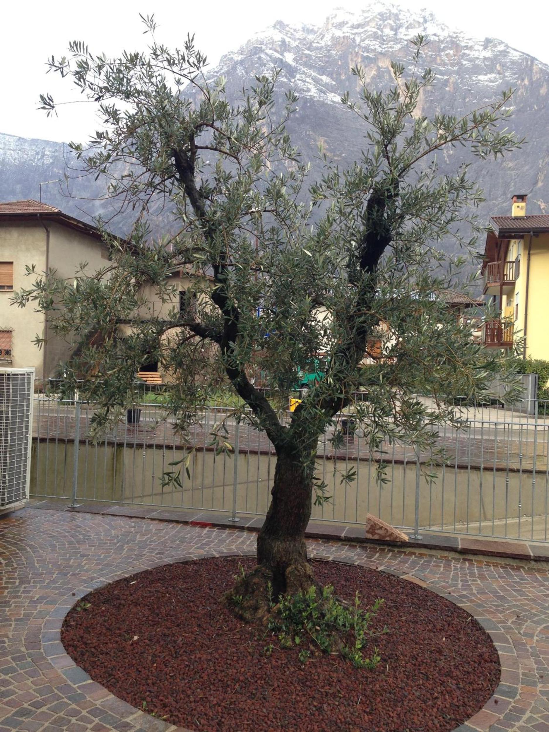 Photo 17