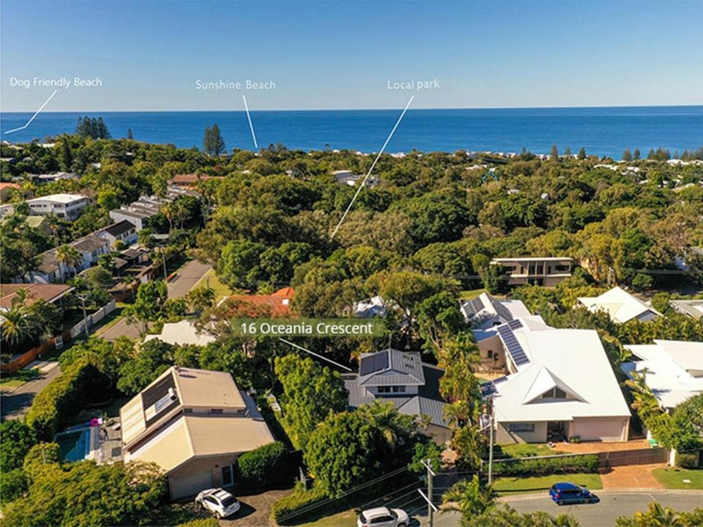 The Perfect Pet Friendly Escape, Sunshine Beach