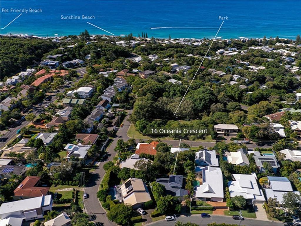 The Perfect Pet Friendly Escape, Sunshine Beach