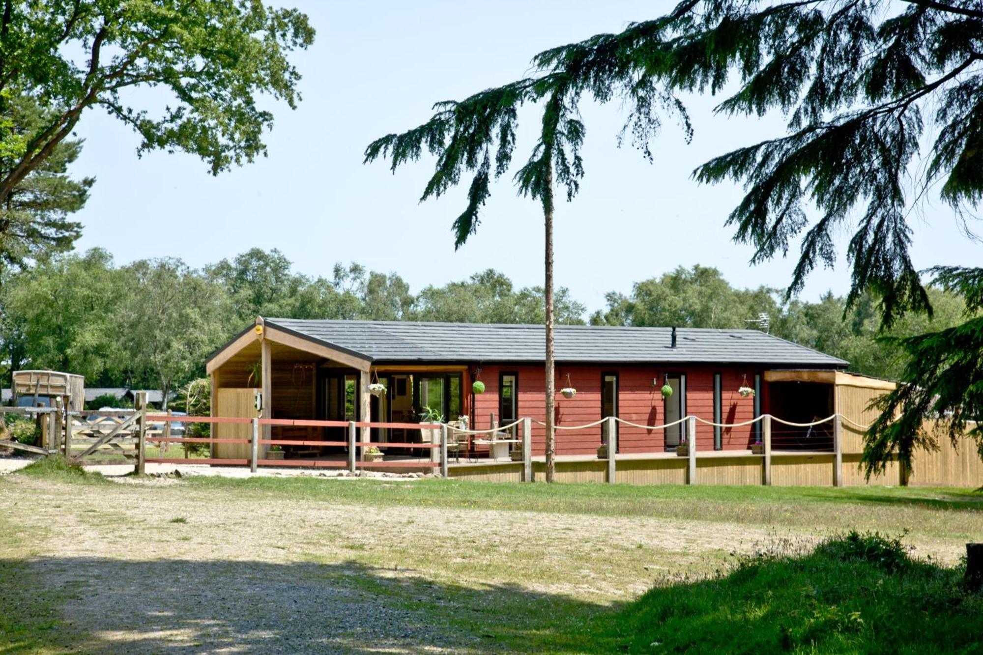 Hotel Haldon Forest Lodge