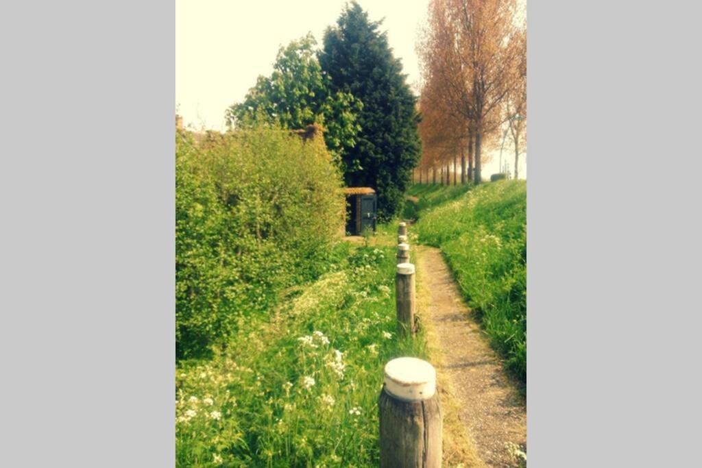 Photo 25