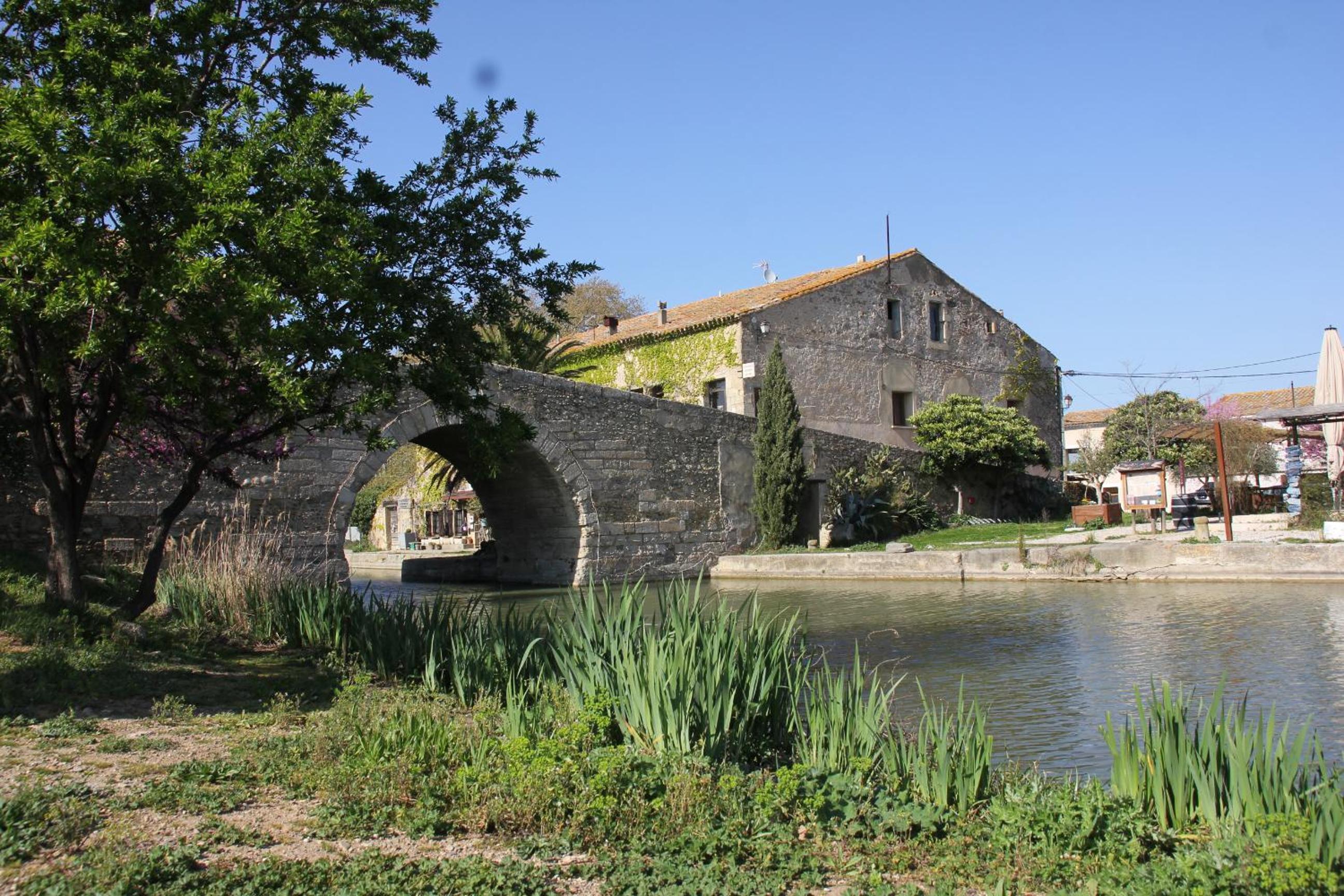 Photo 12