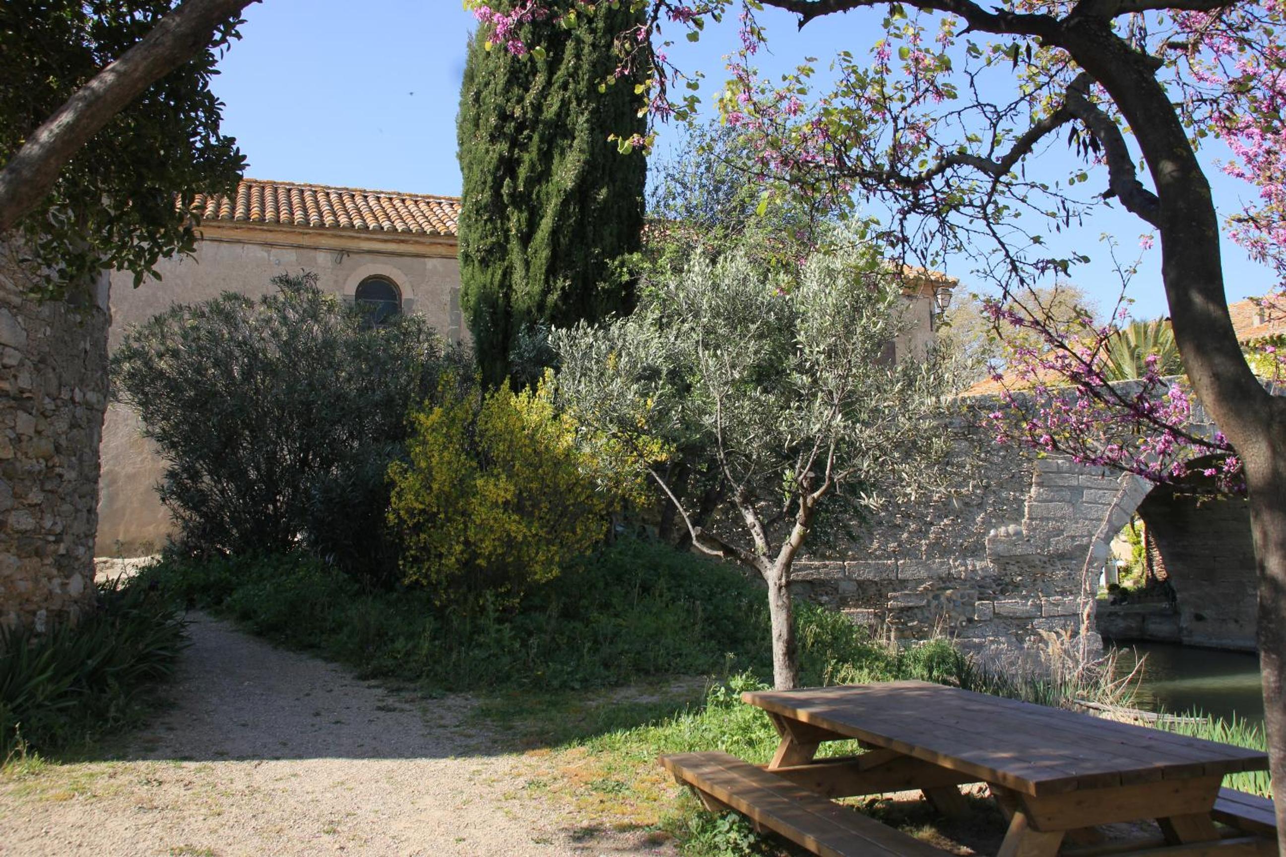 Photo 13