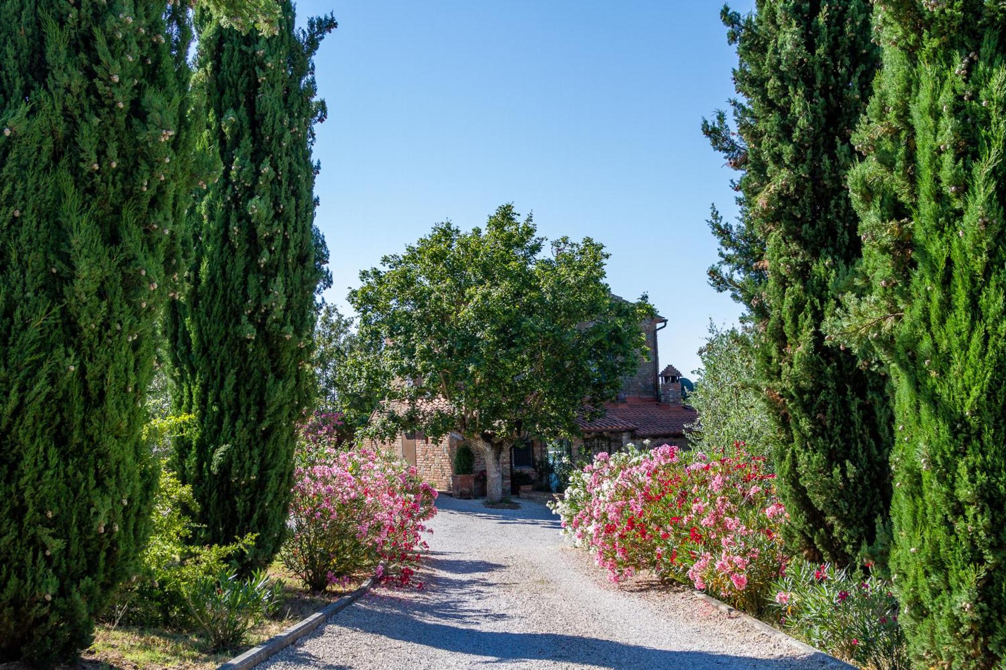 La Bacaia view 3