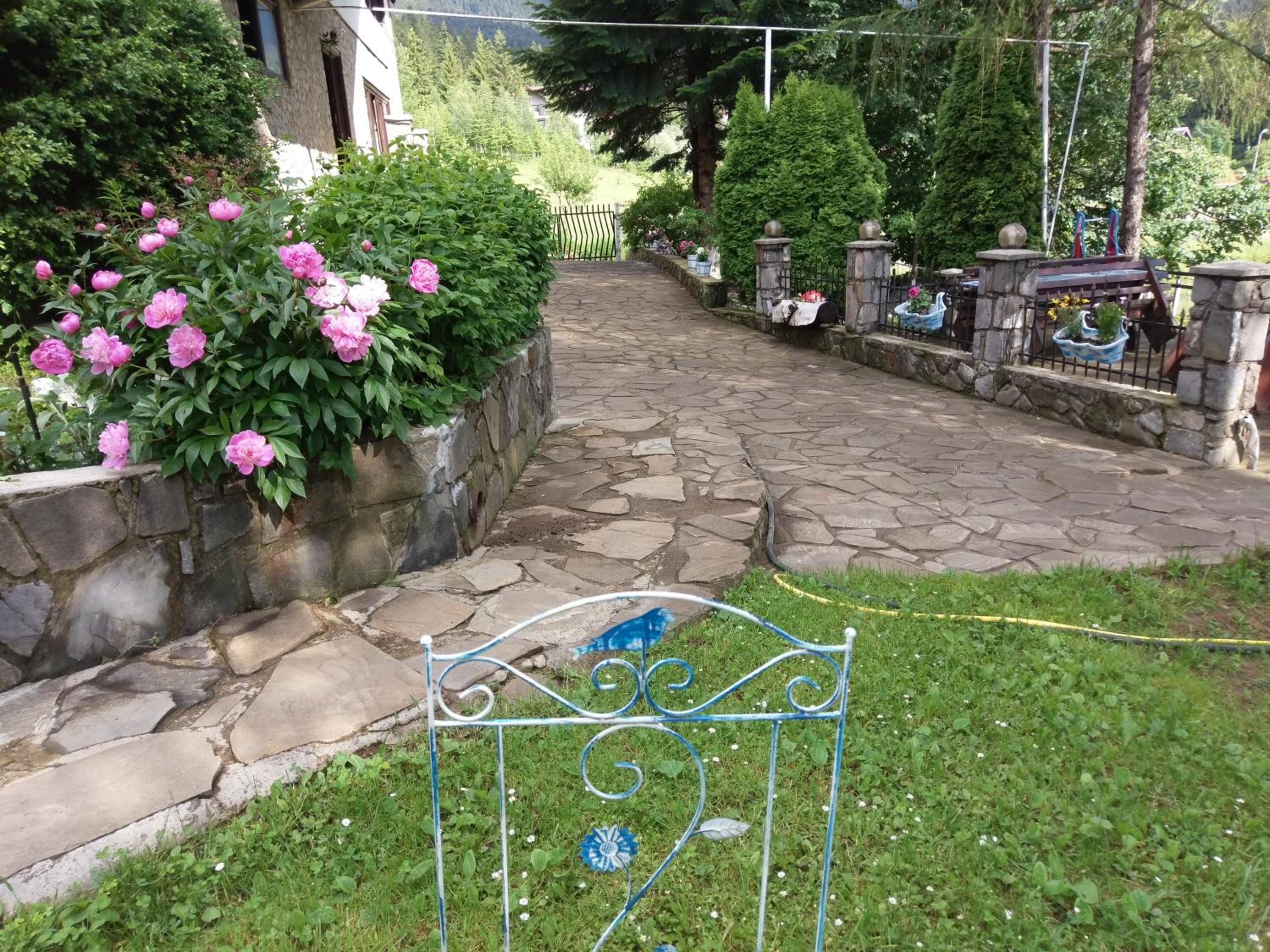 Photo 13