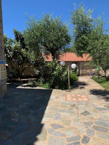 ΤΟ ΠΕΤΡΙΝΟ / THE PETRINO APARTMENTS view 2