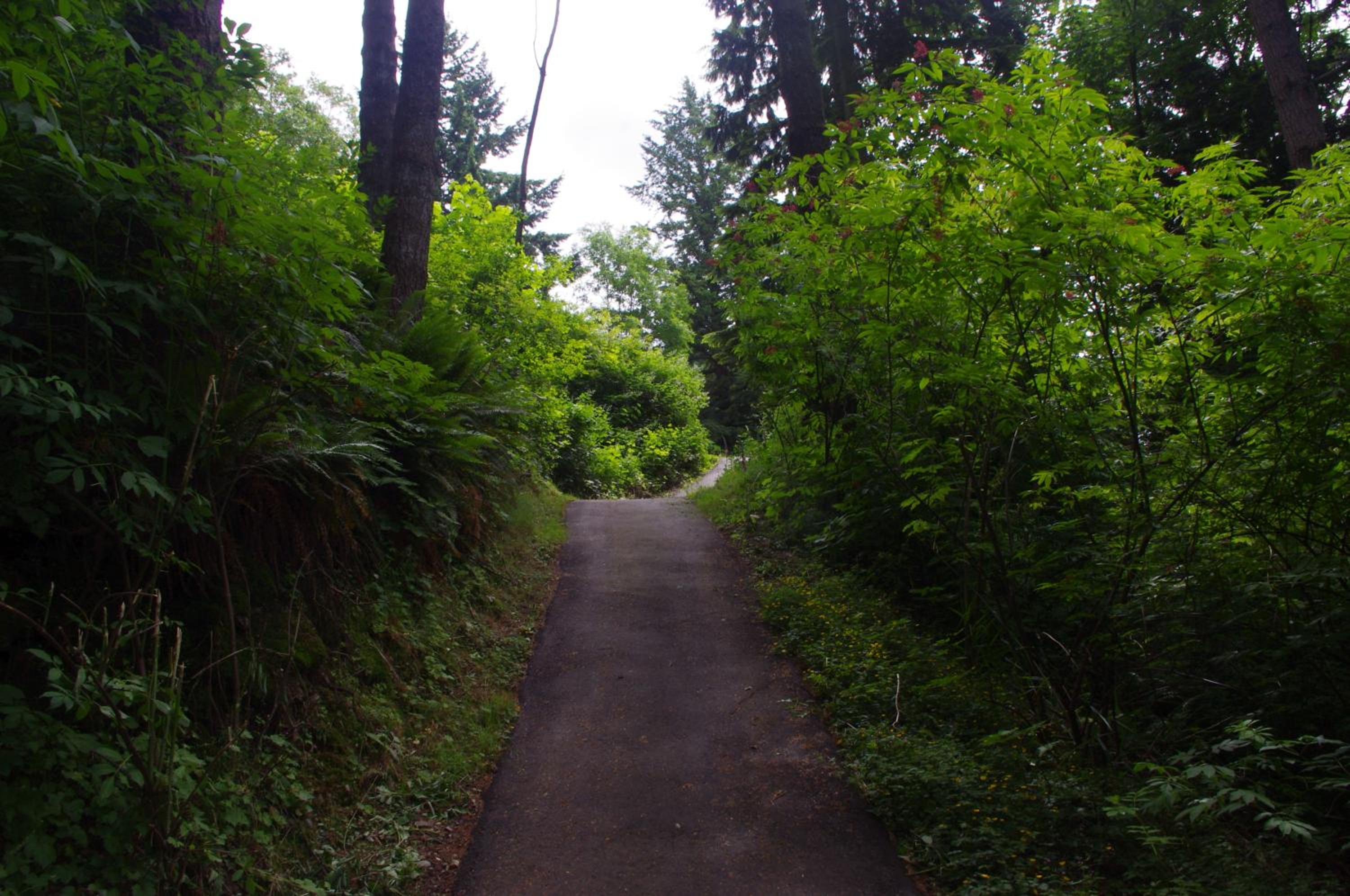 The Fraser River's Edge BB Lodge - Property Image 34