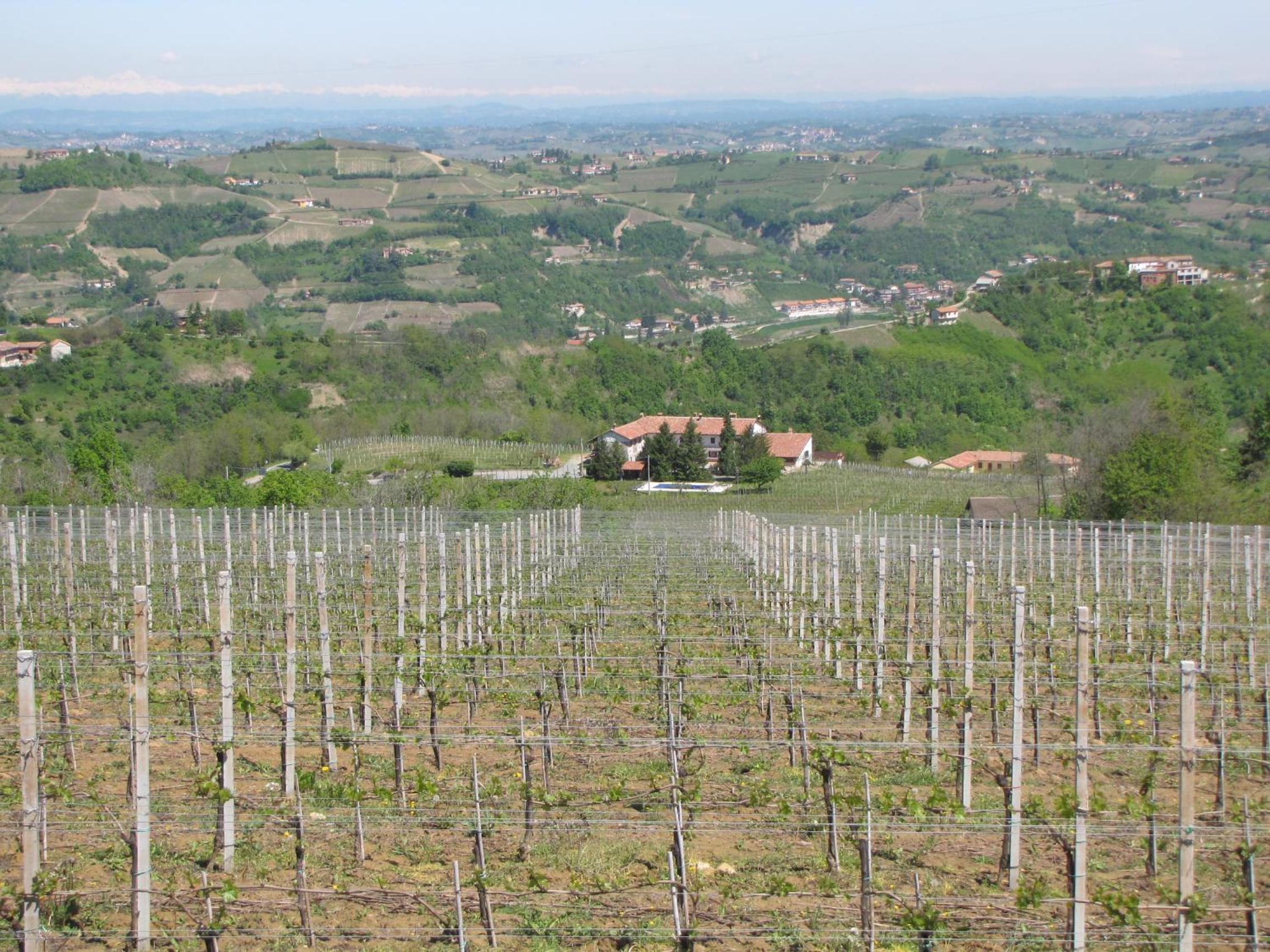 Agriturismo Rupestr