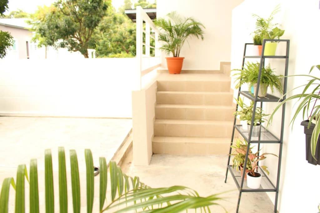 NEW SEAVIEW Cozy Modern Beach House photo 8