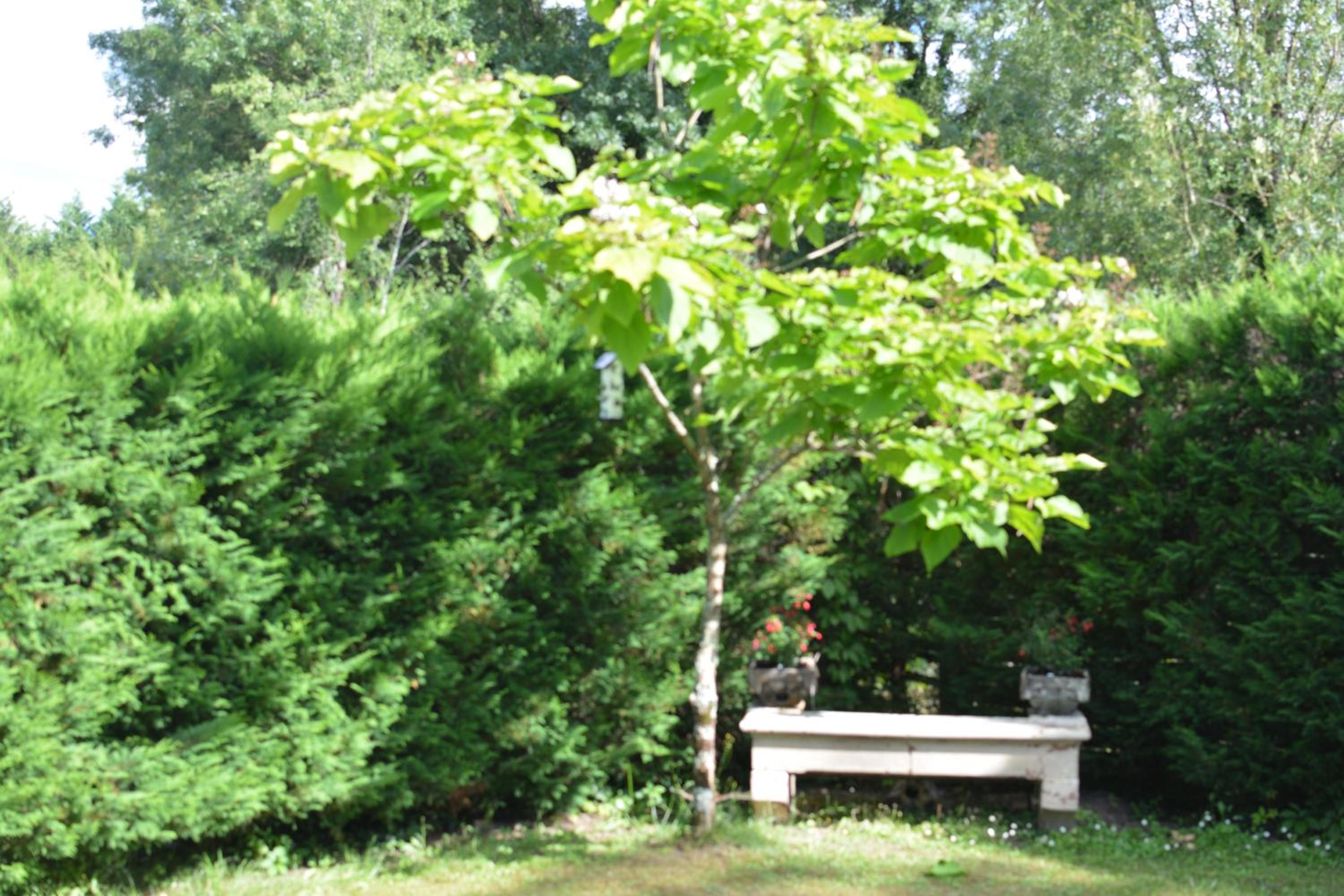 Au Cœur de Ménestérol view 2