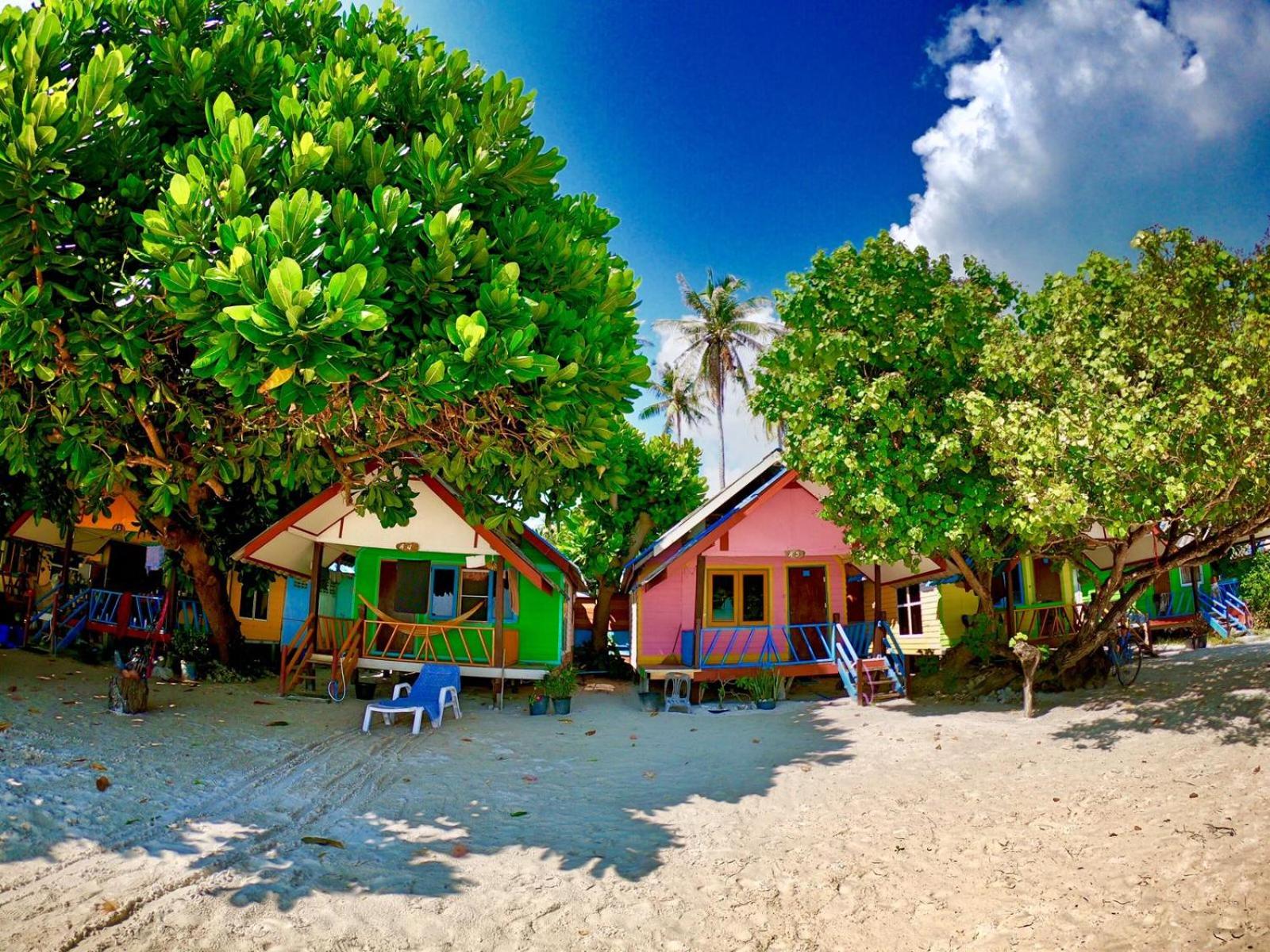 DAYA Beach, Lipe local