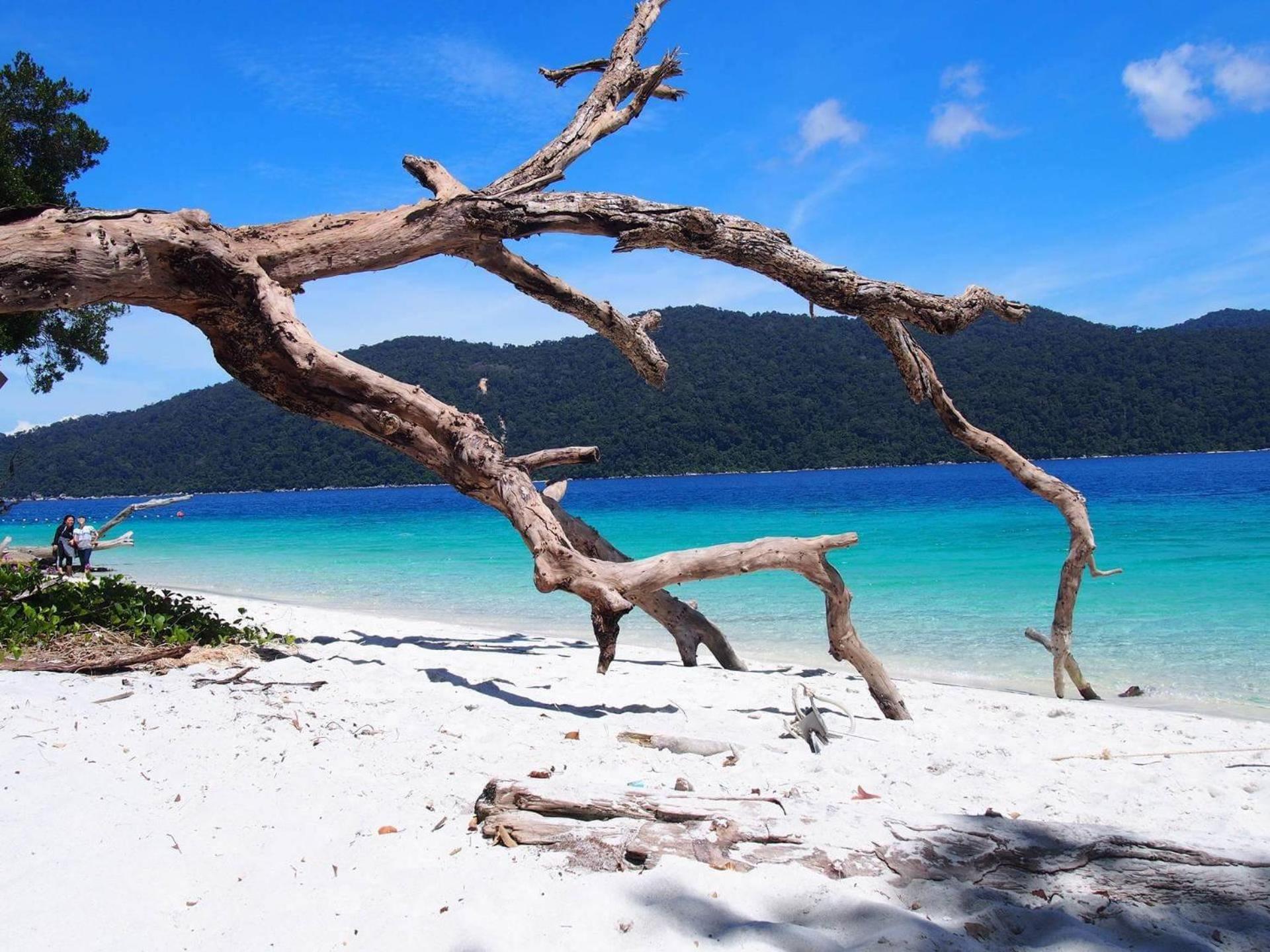 DAYA Beach, Lipe local
