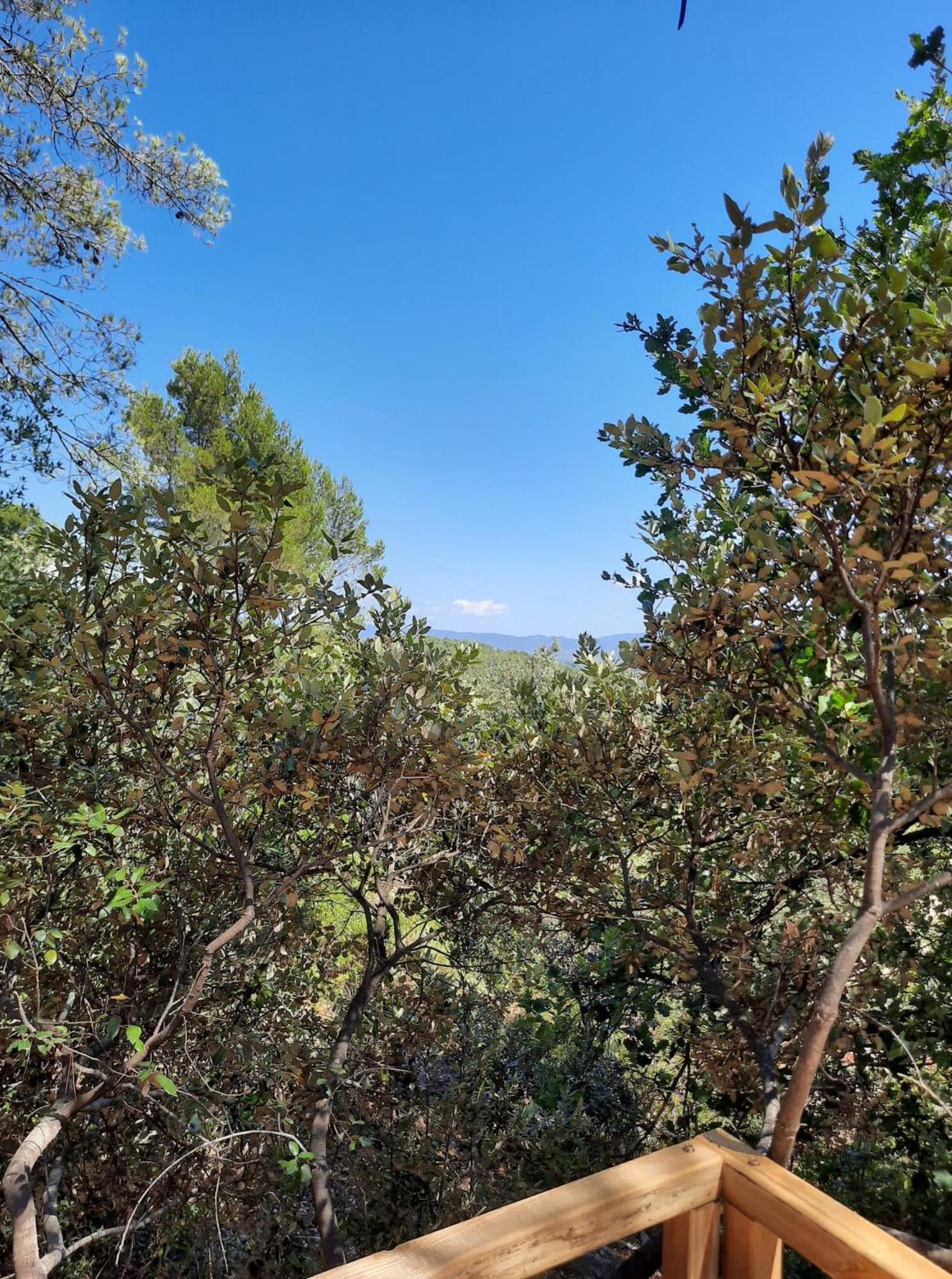 Cabane dans les arbres "La Kaz aux Cigales" view 4