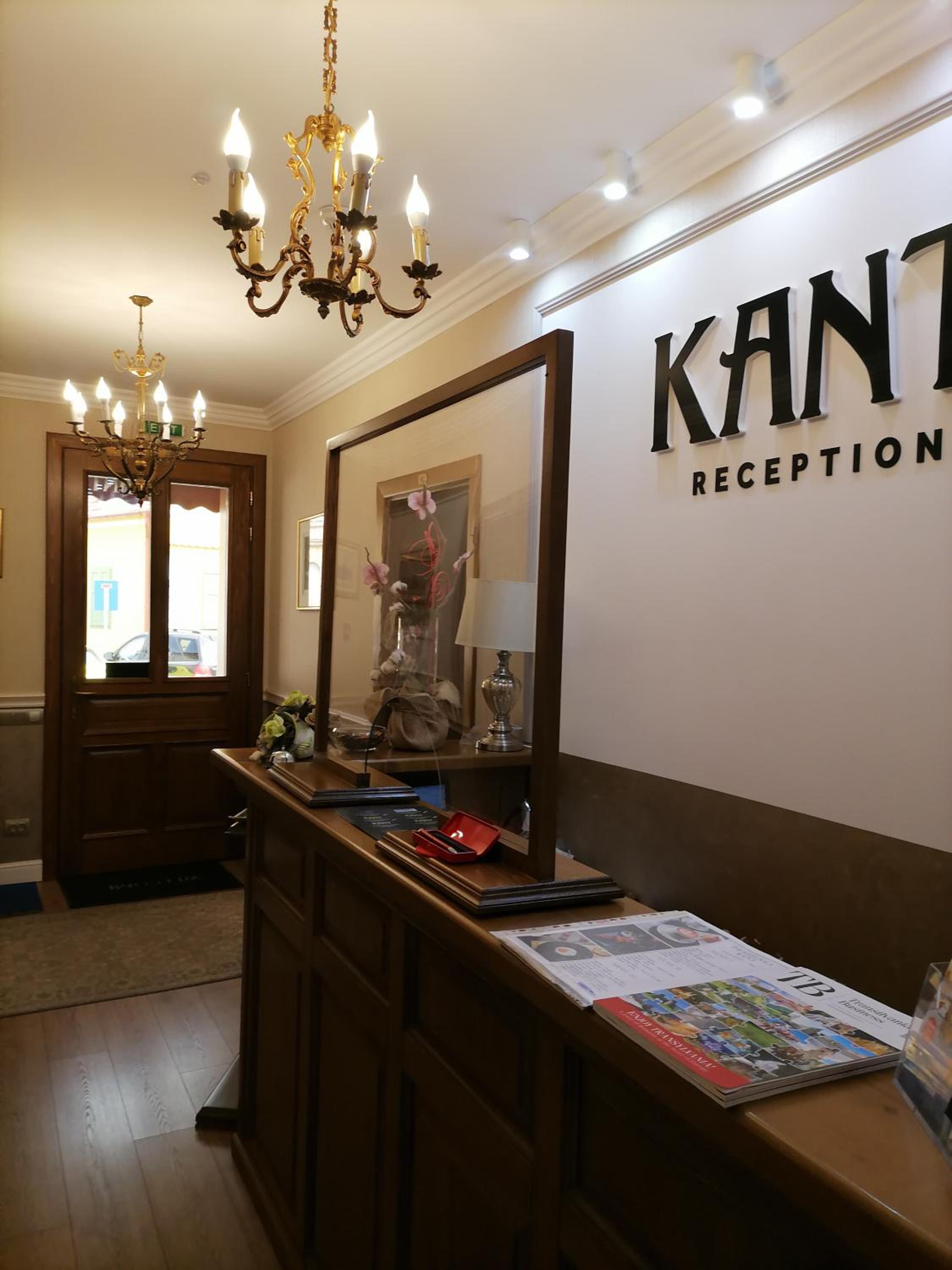 Pensiunea Kant view 3