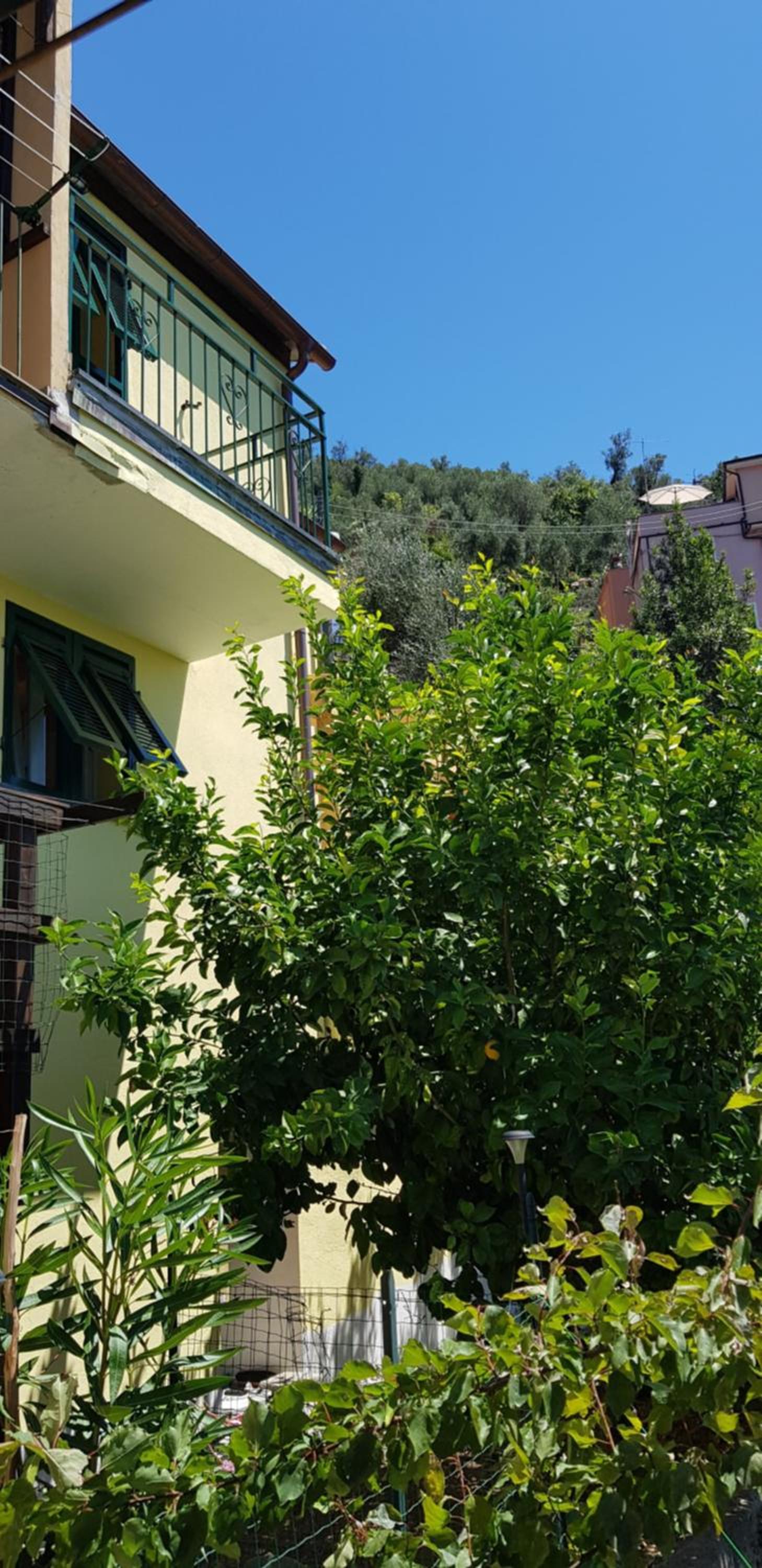 Photo 32