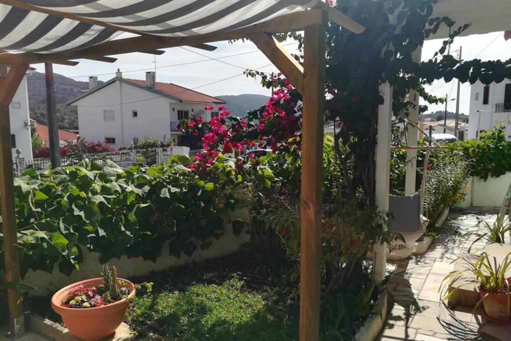 BLISS BOHO HOUSE view 3