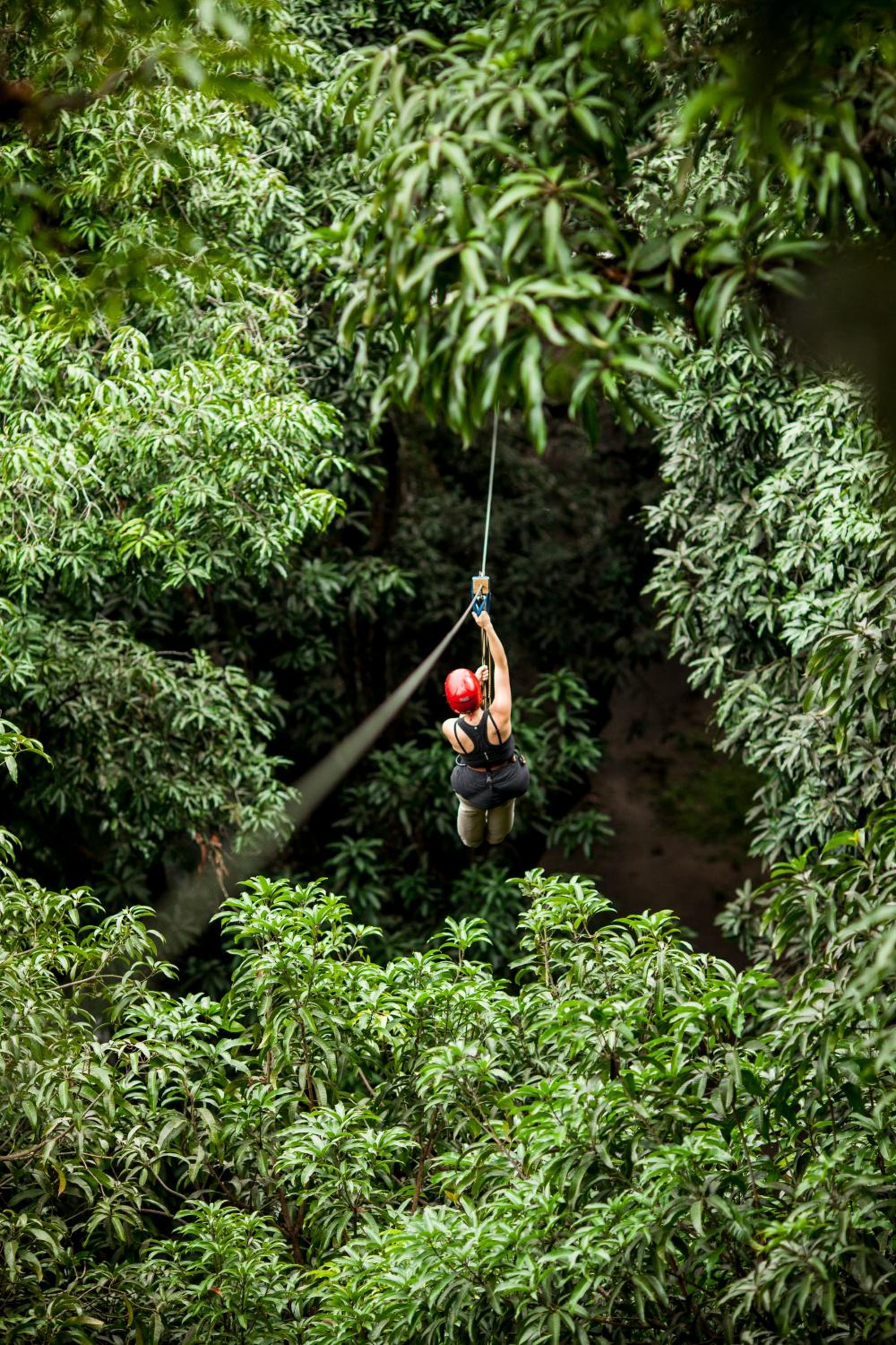 Picocanoa Rodavento