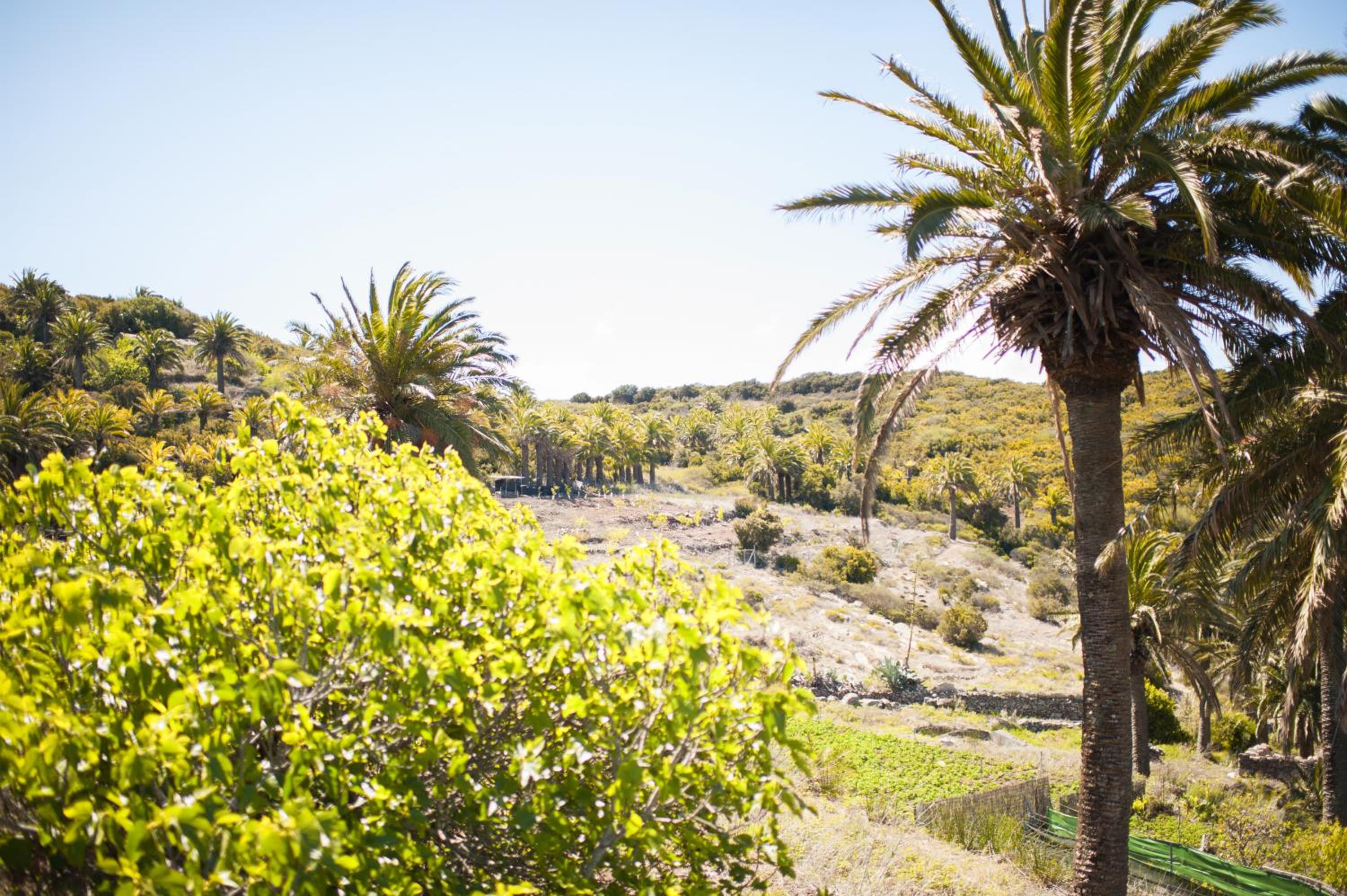 Jardin Las Hayas