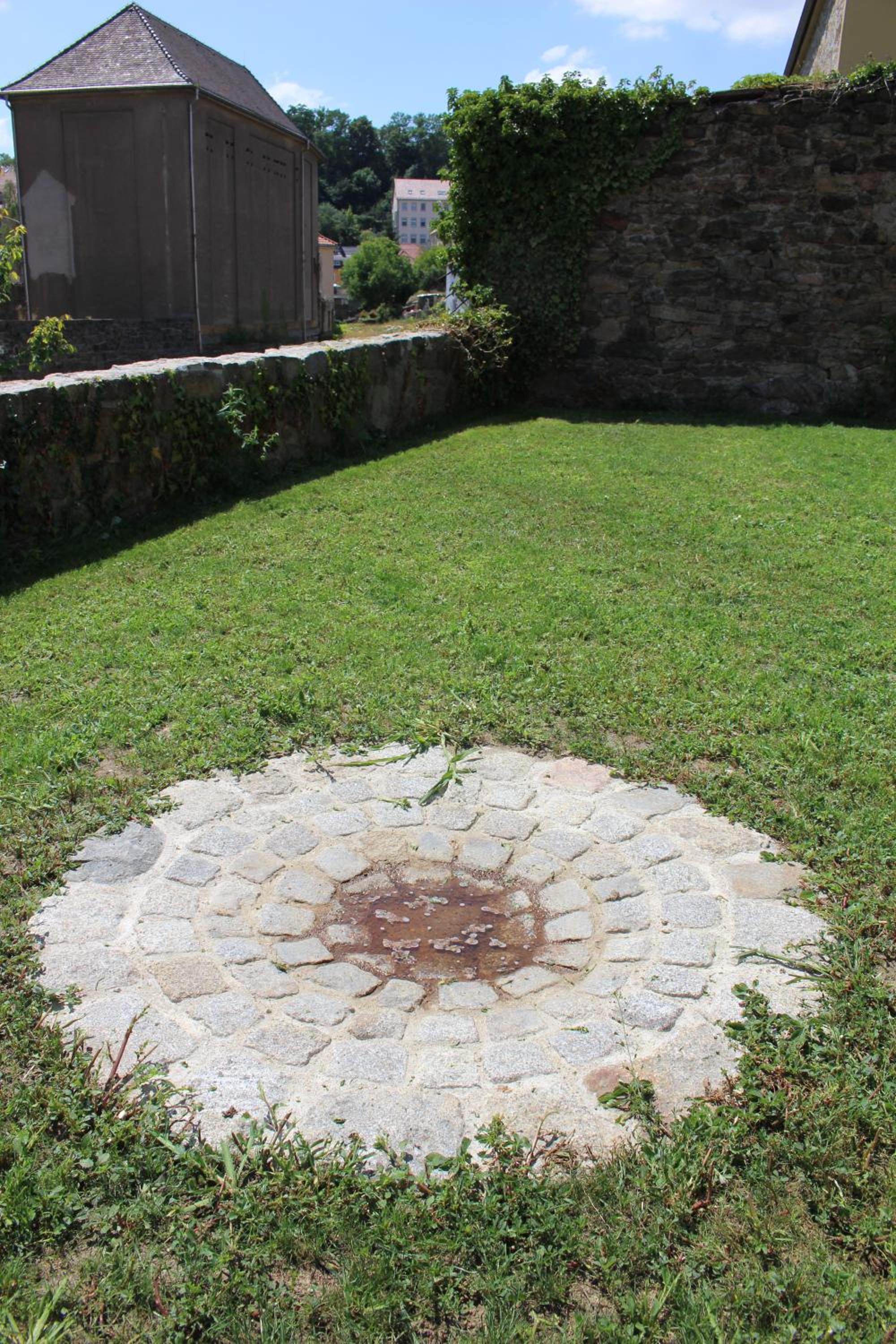 Photo 24