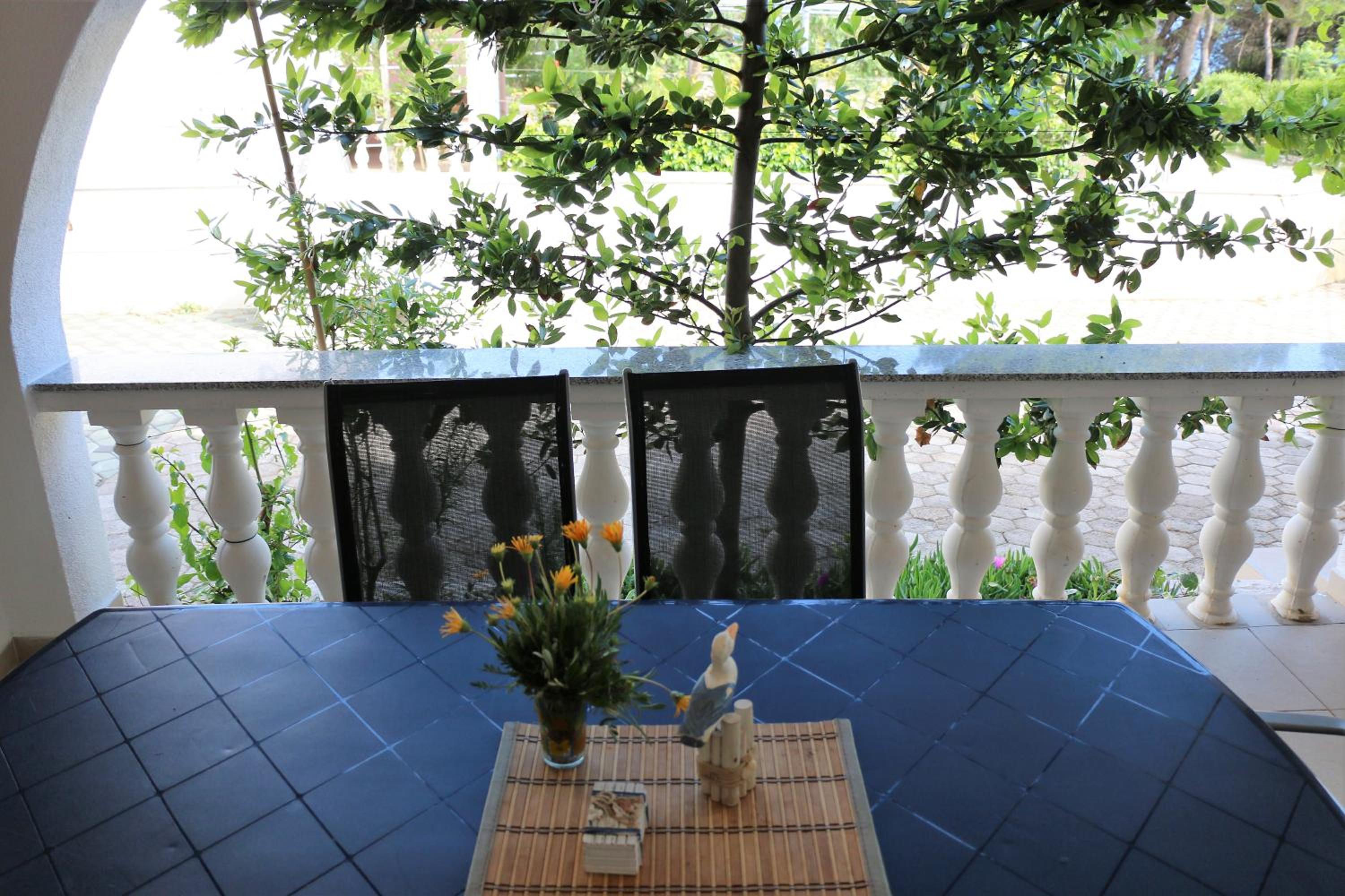 Apartments Vir Delfin