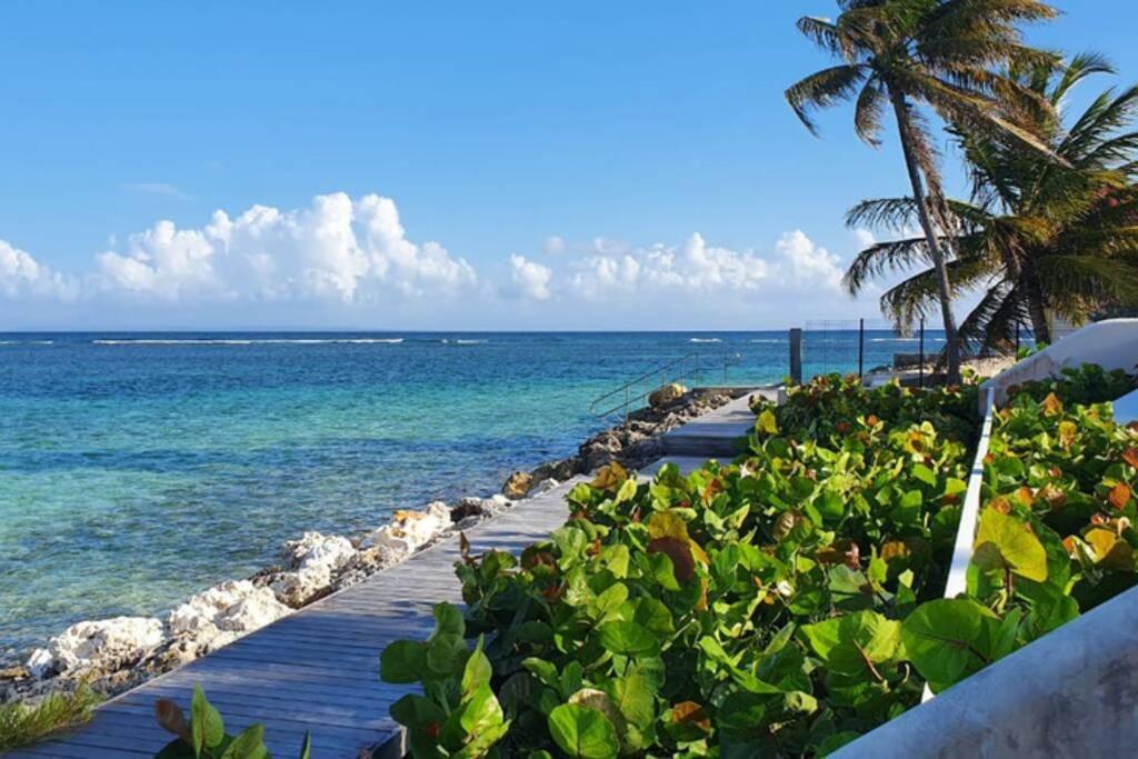 Appartement cosy, les pieds dans l'eau ! view 3