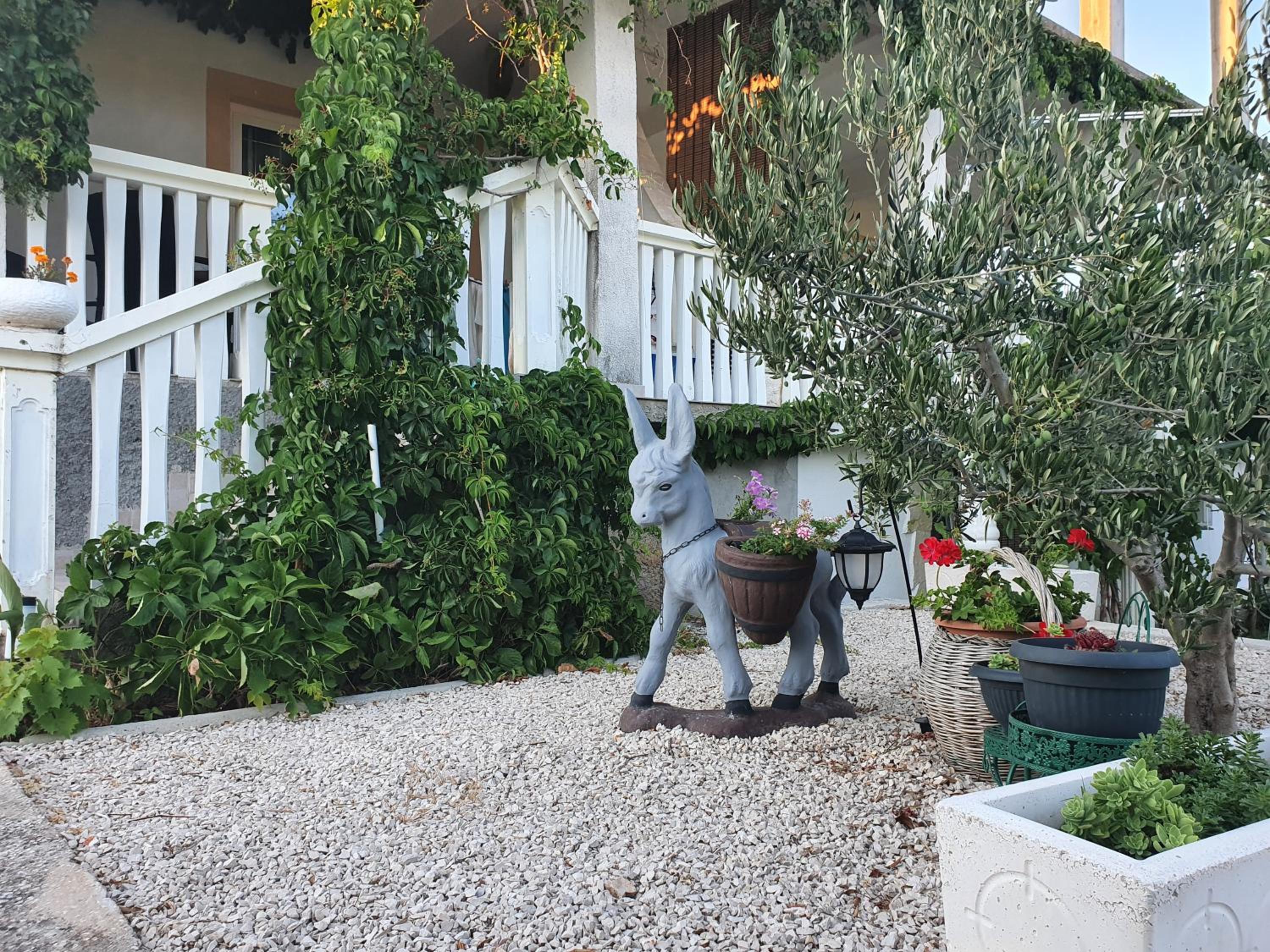 Hotel Apartman Mare - Image 1