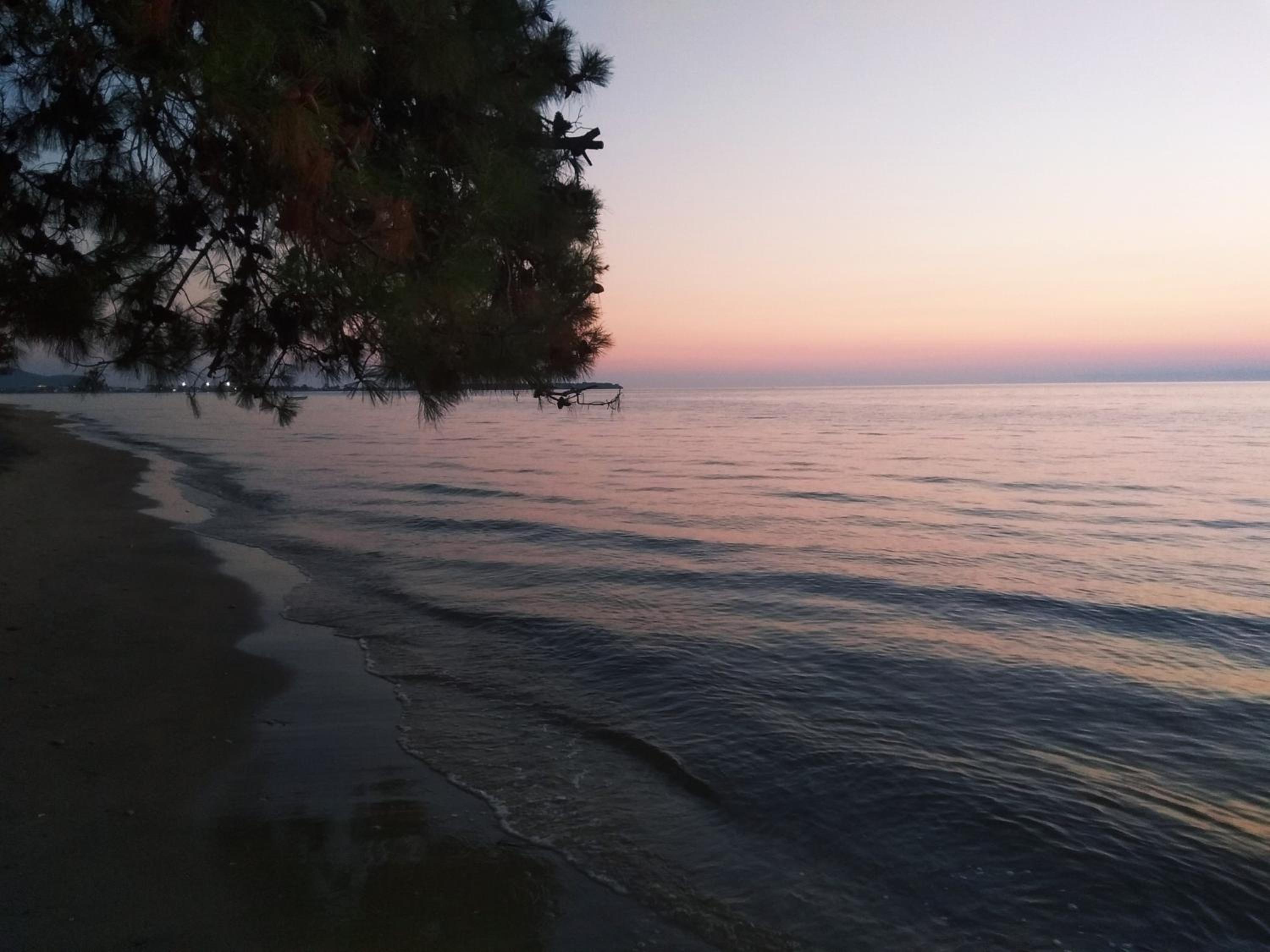 Photo 100
