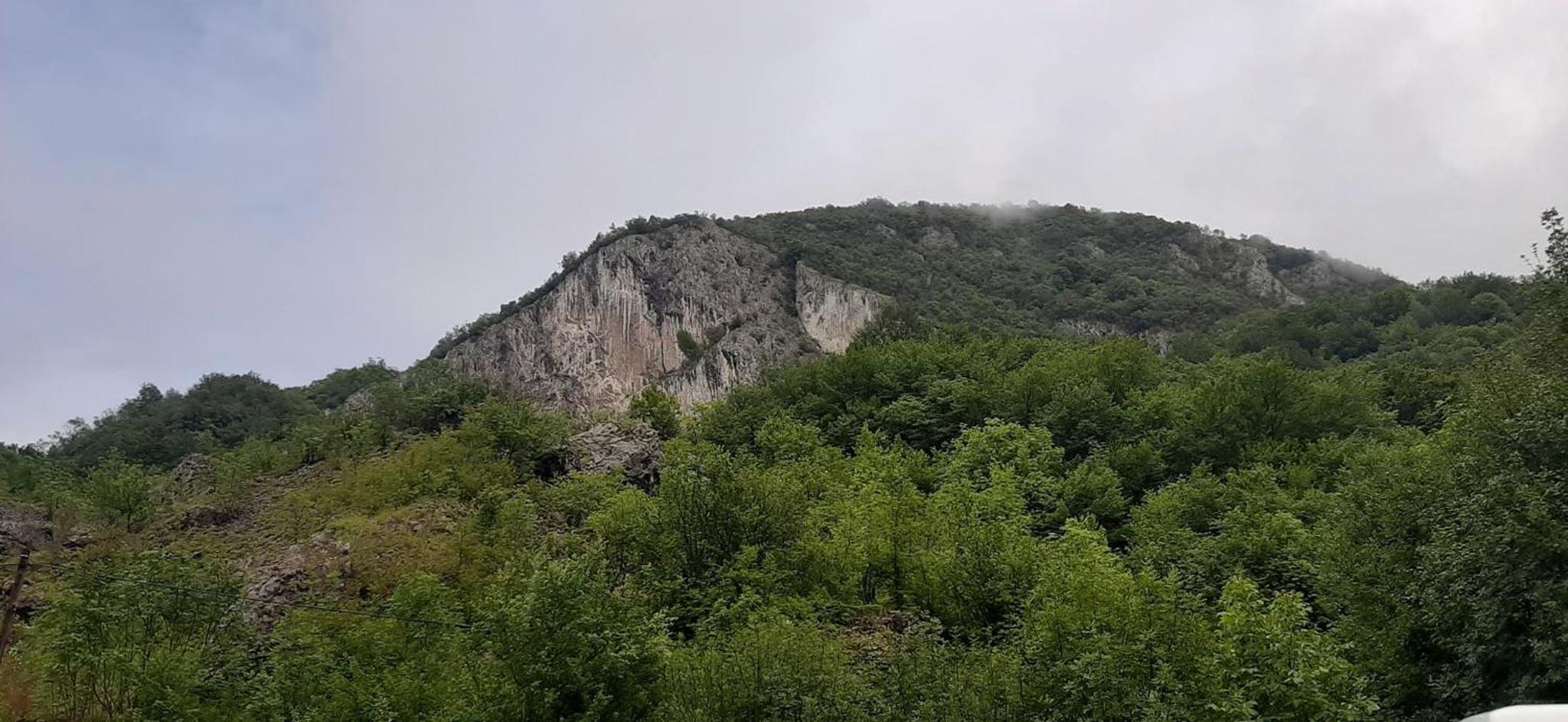 Photo 44