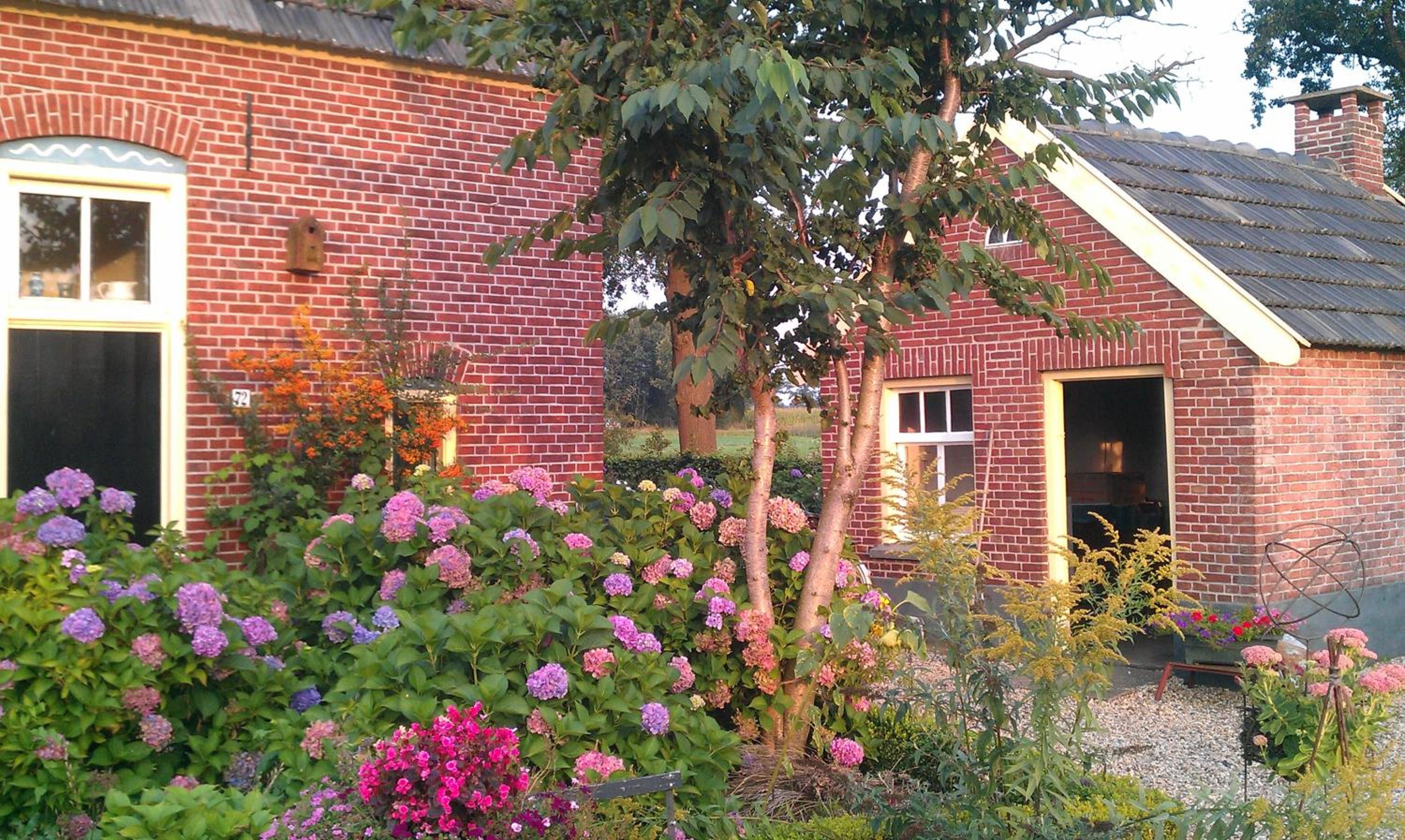 Photo 14