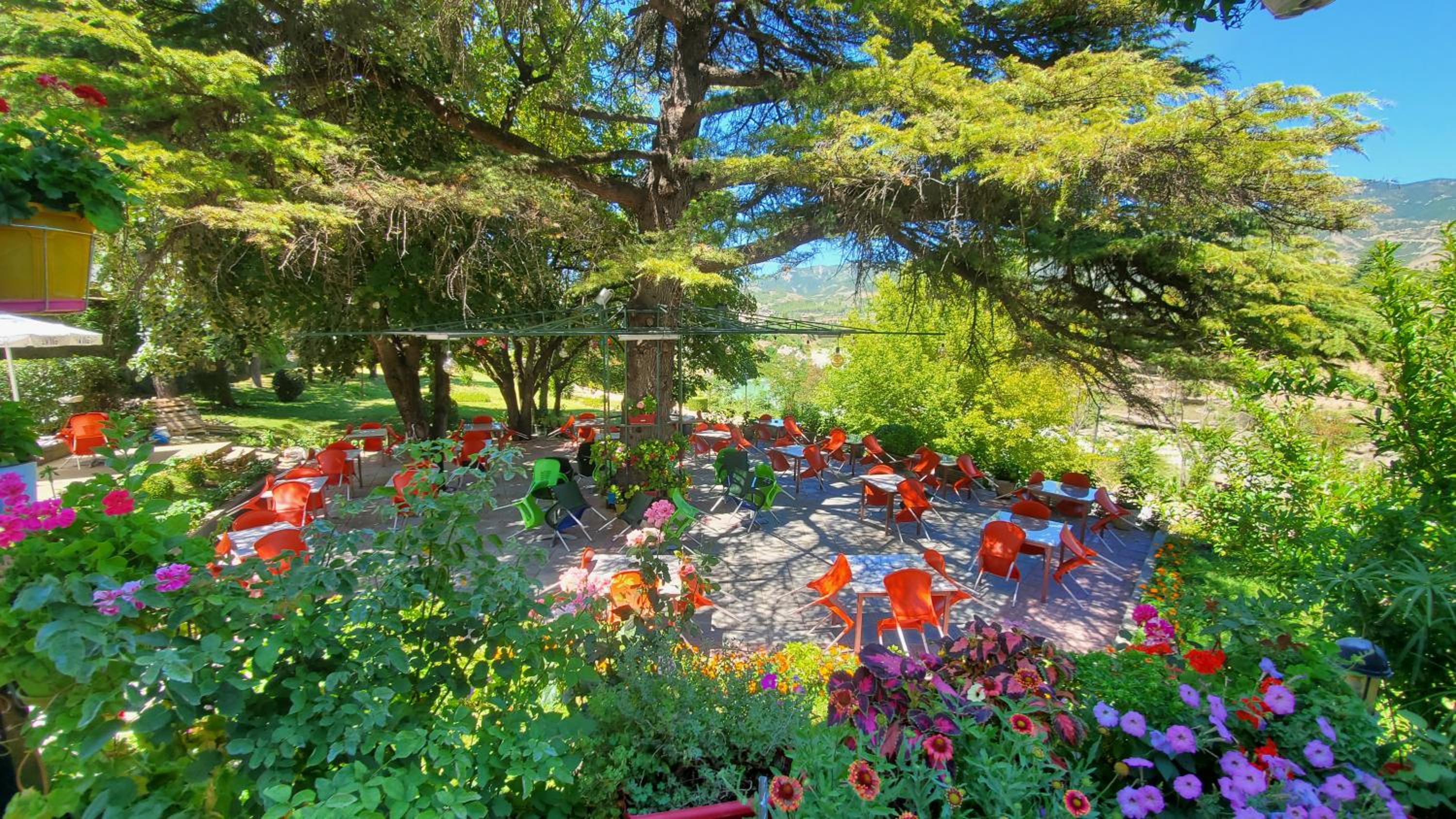 garden