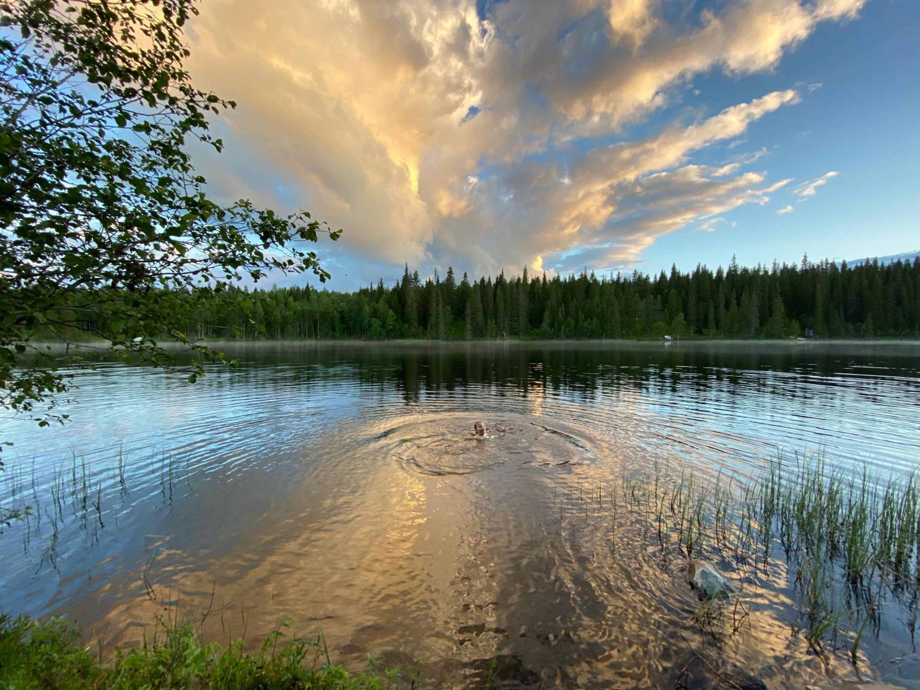 Photo 22