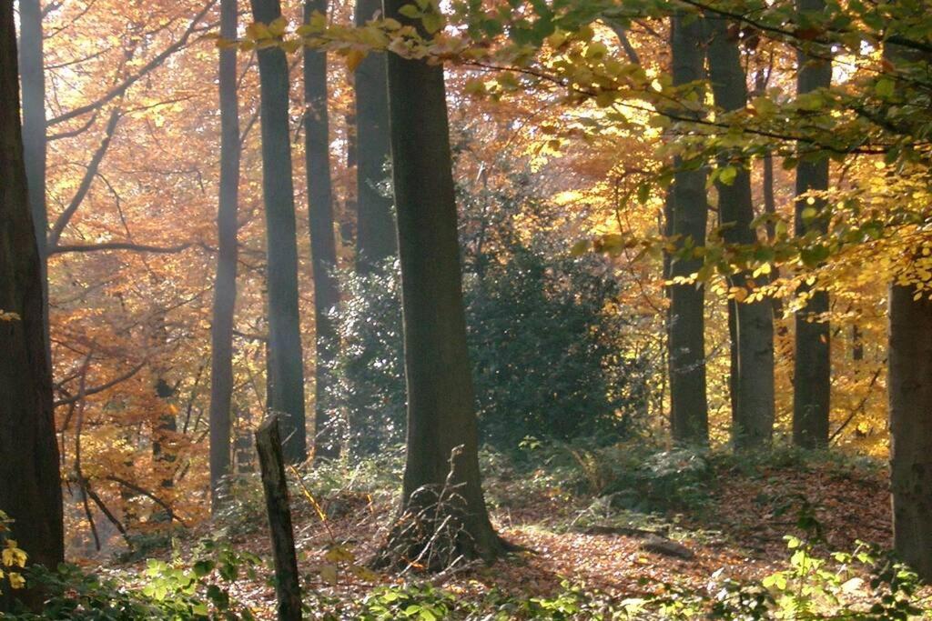 La clef de bois, photo 7