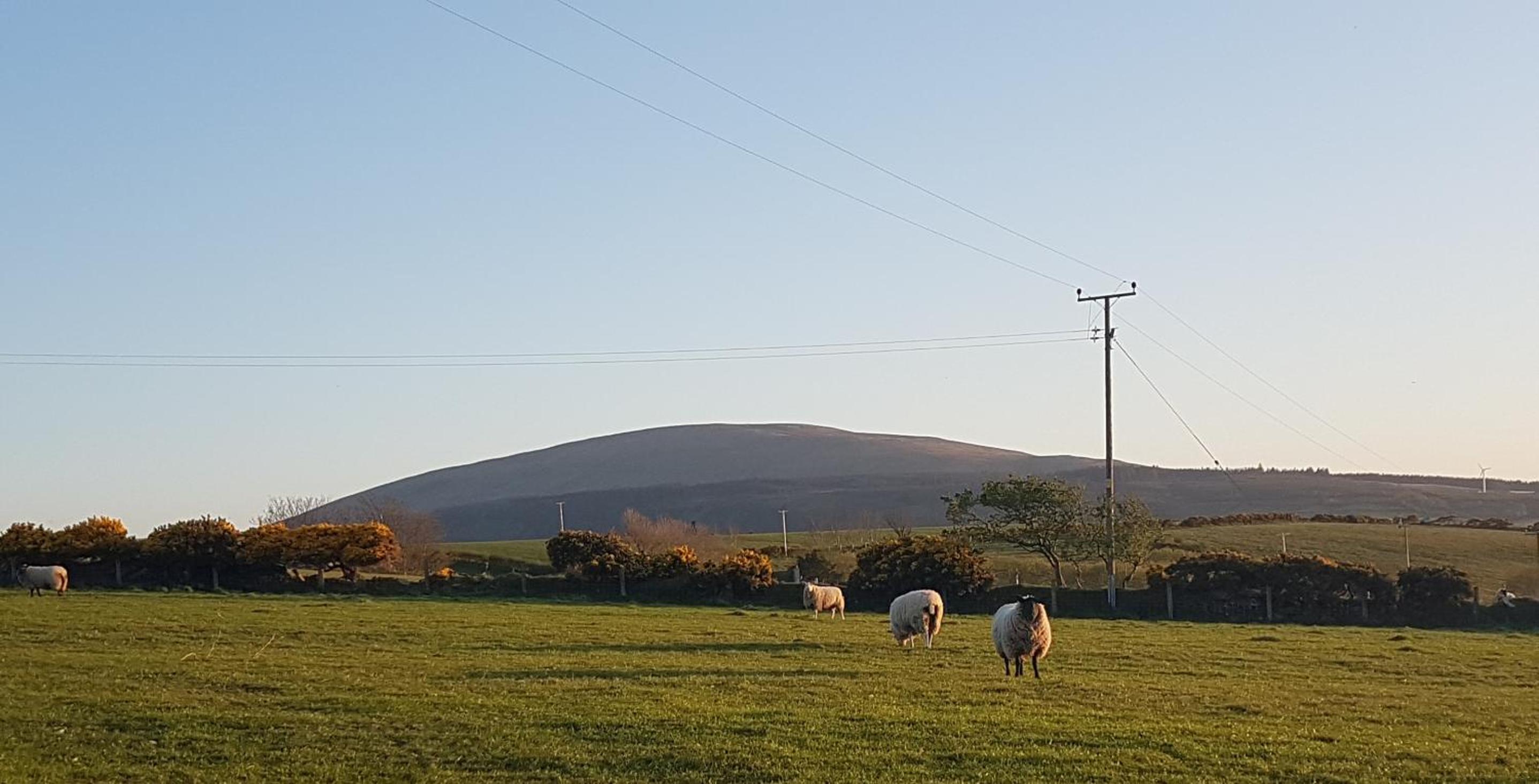 Tornabodagh House