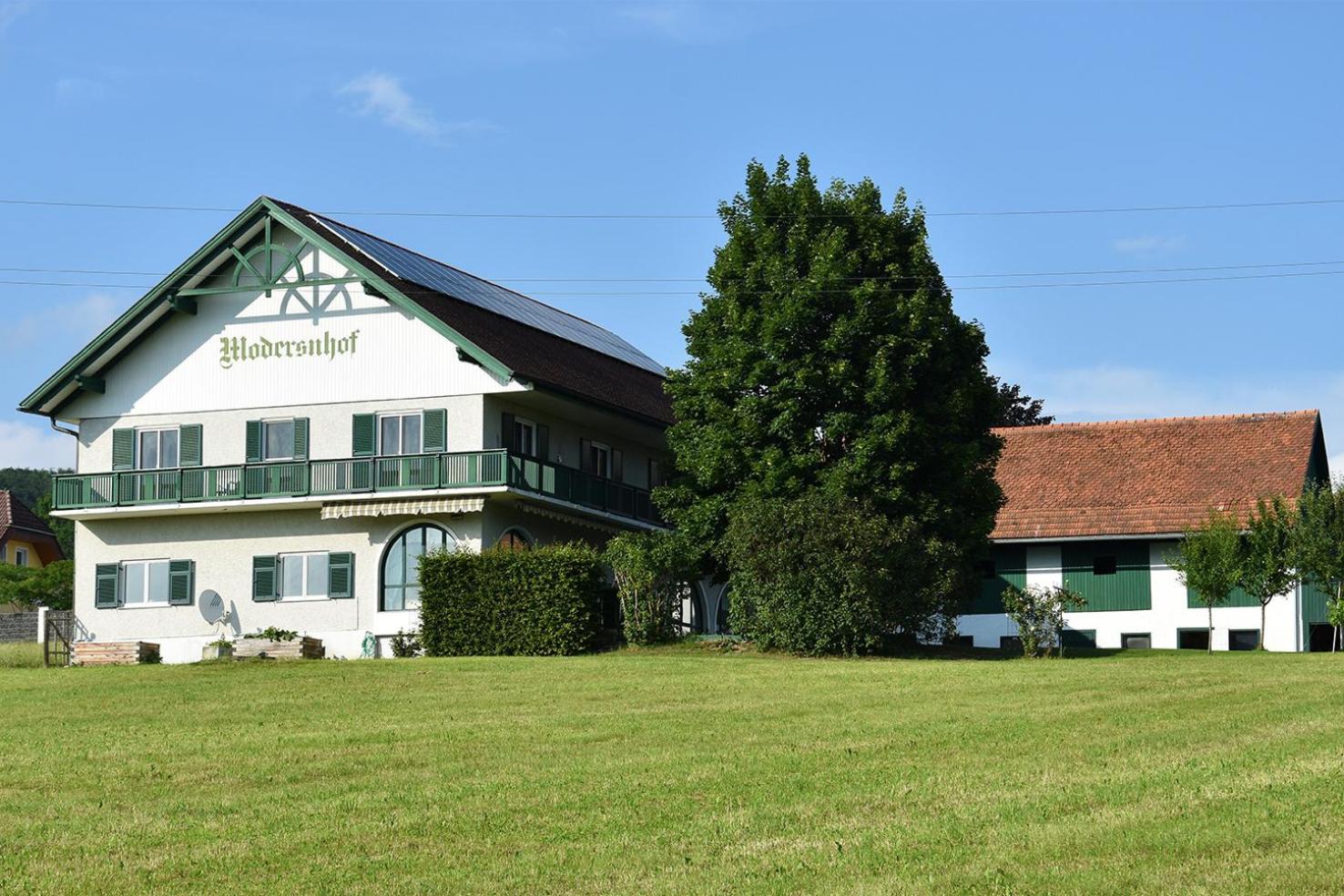 Photo 42