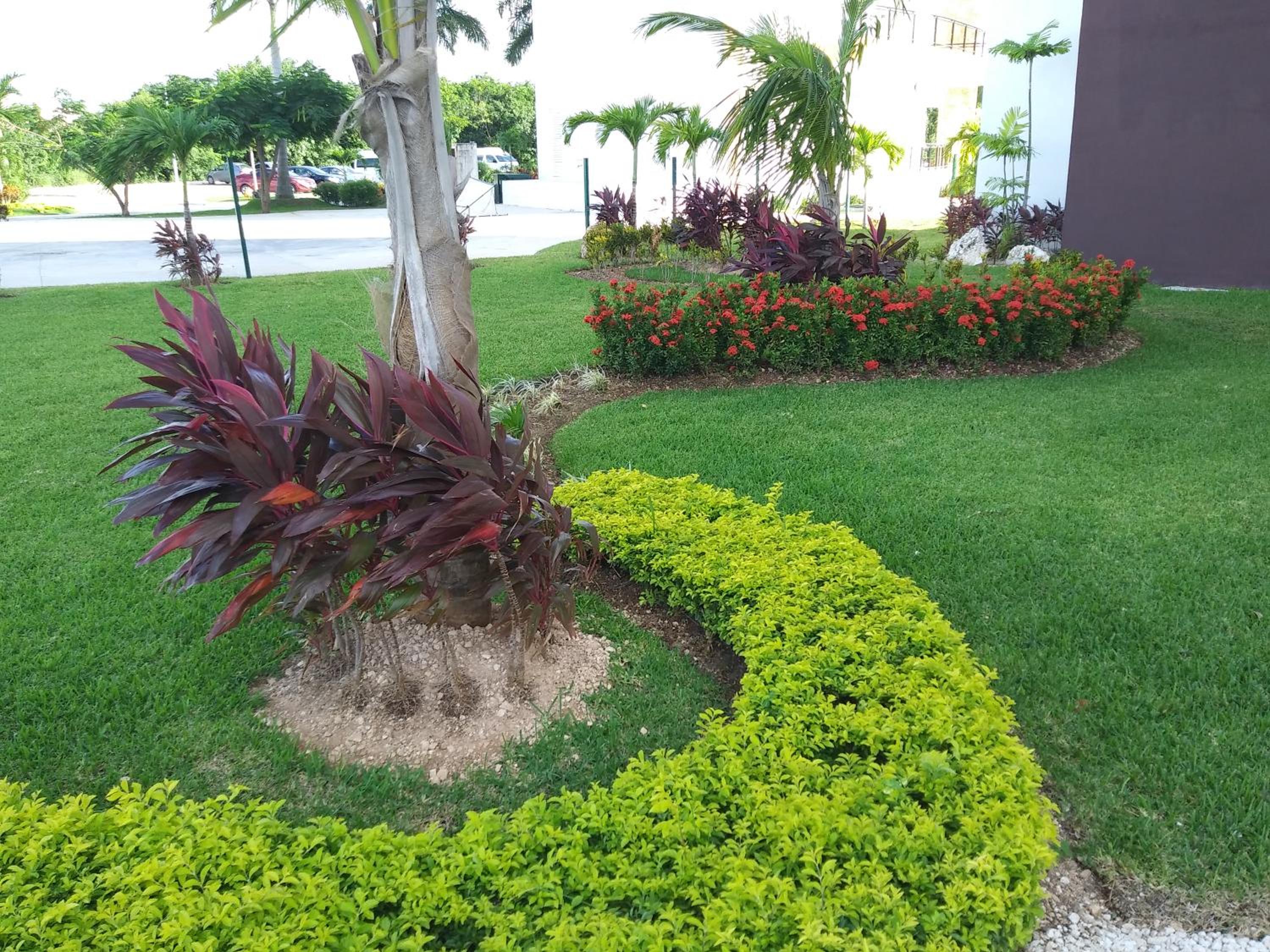 Dreams Lagoon