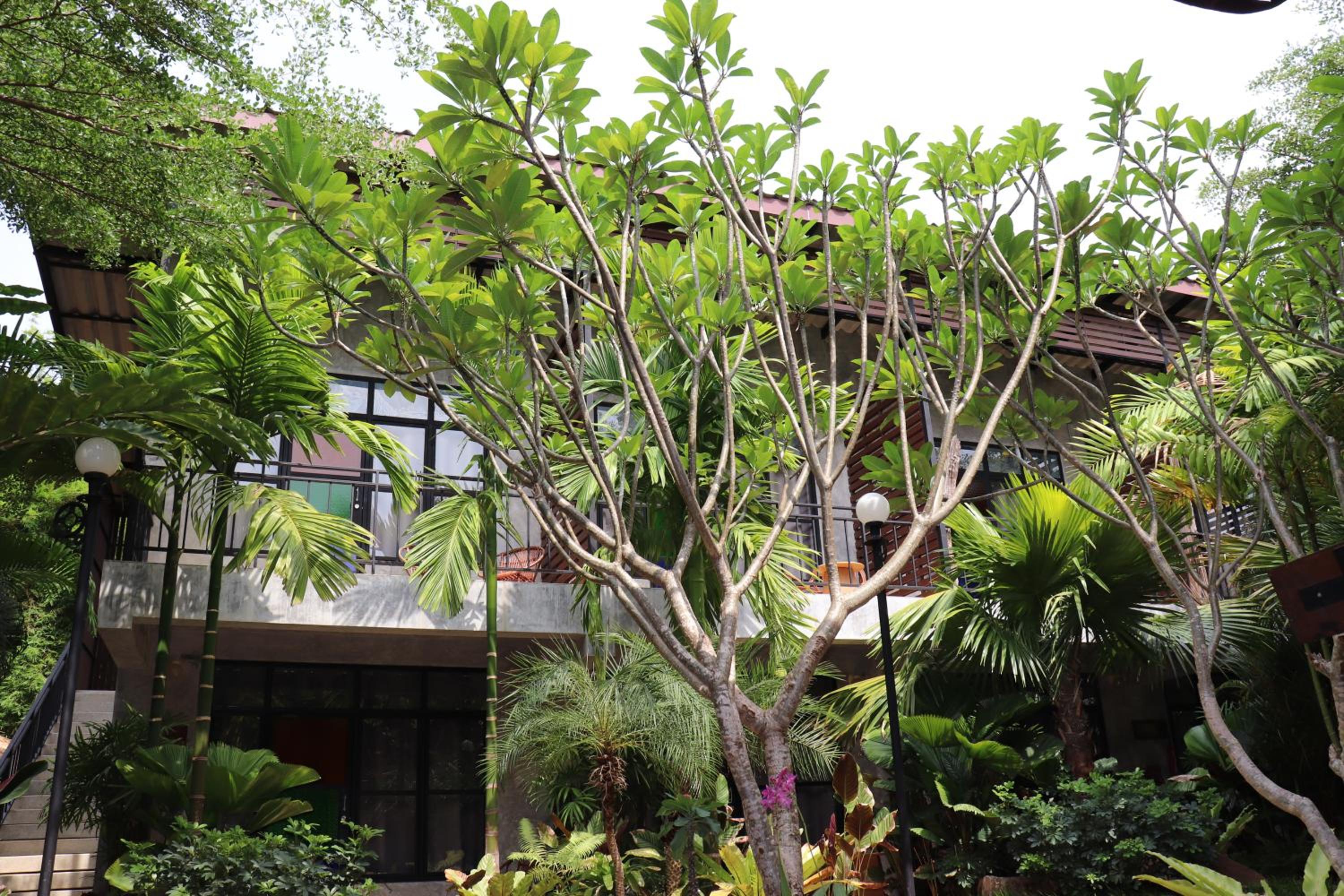 The Picturebook Guesthouse