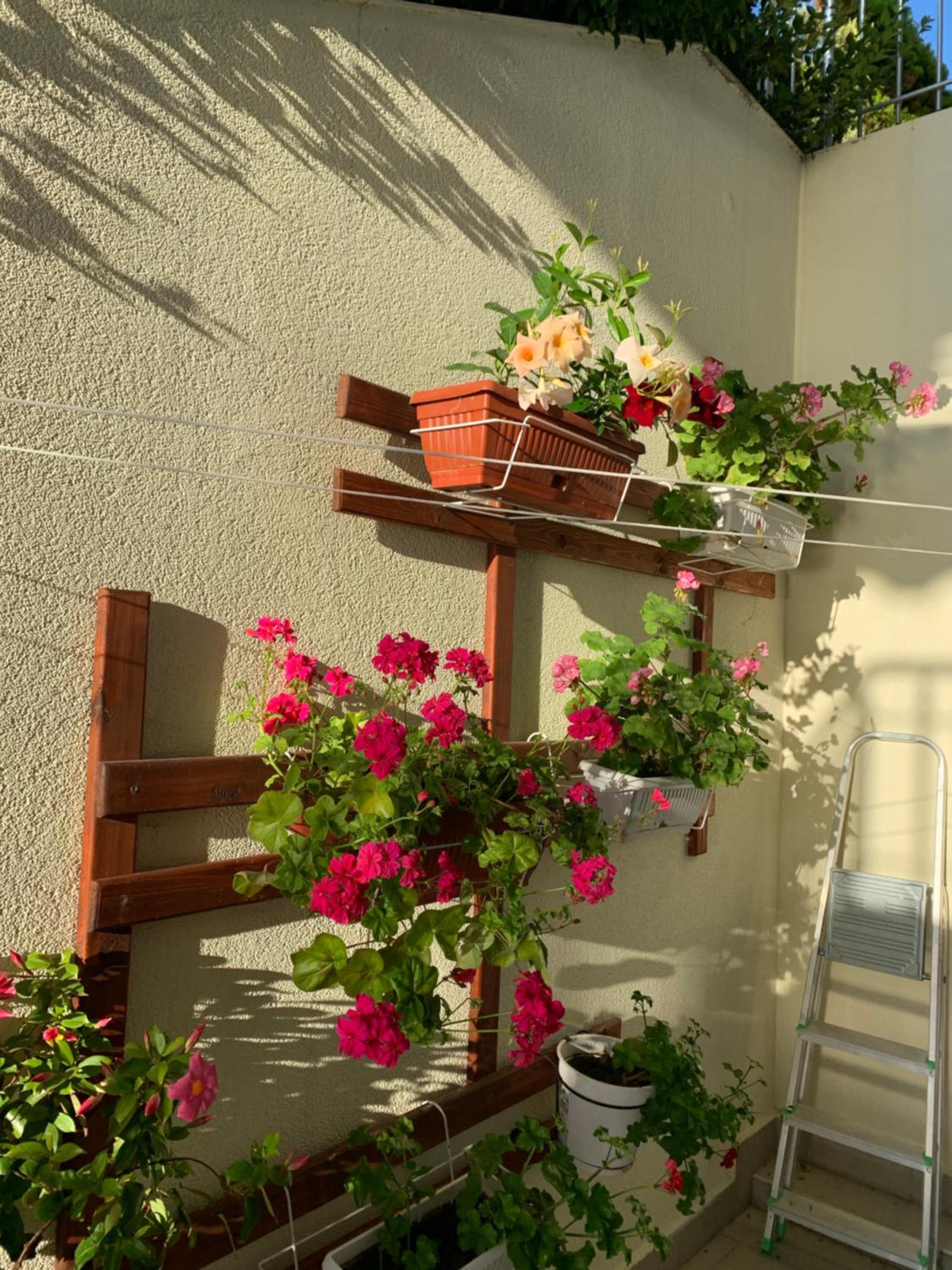 Sea Sunshine apartment