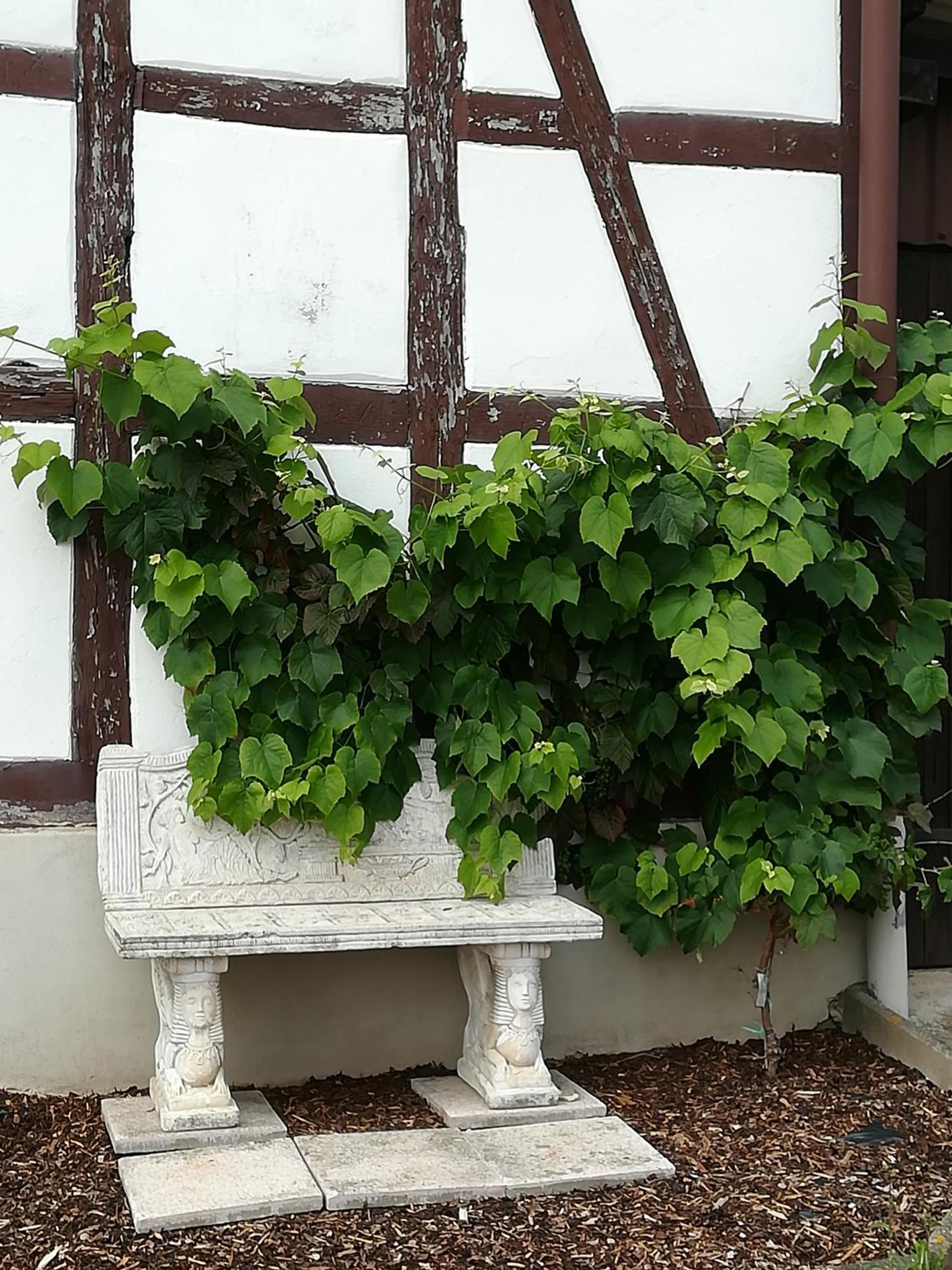 Ferienhaus Bine