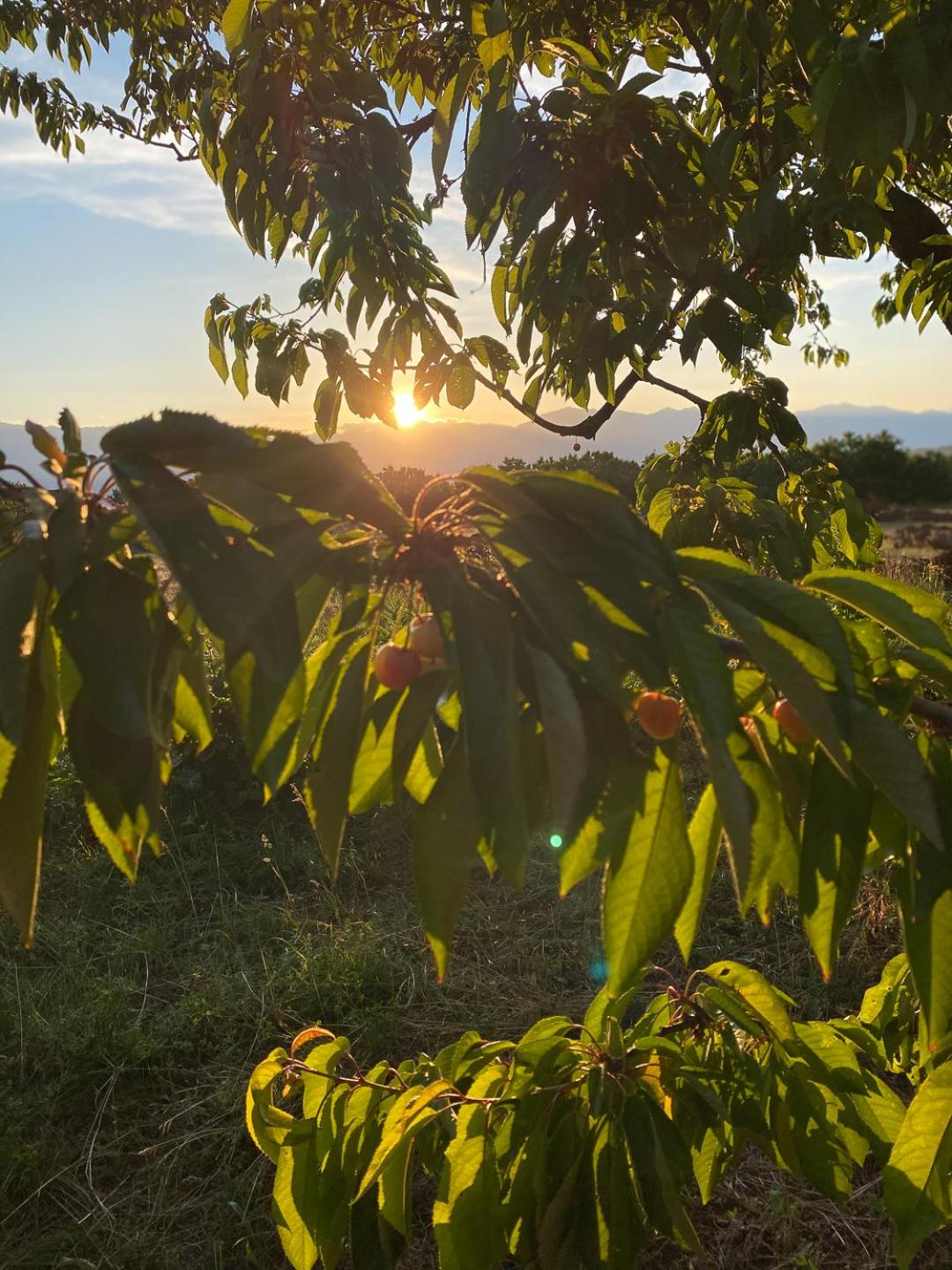 Nëna Dashuri Agroturizëm