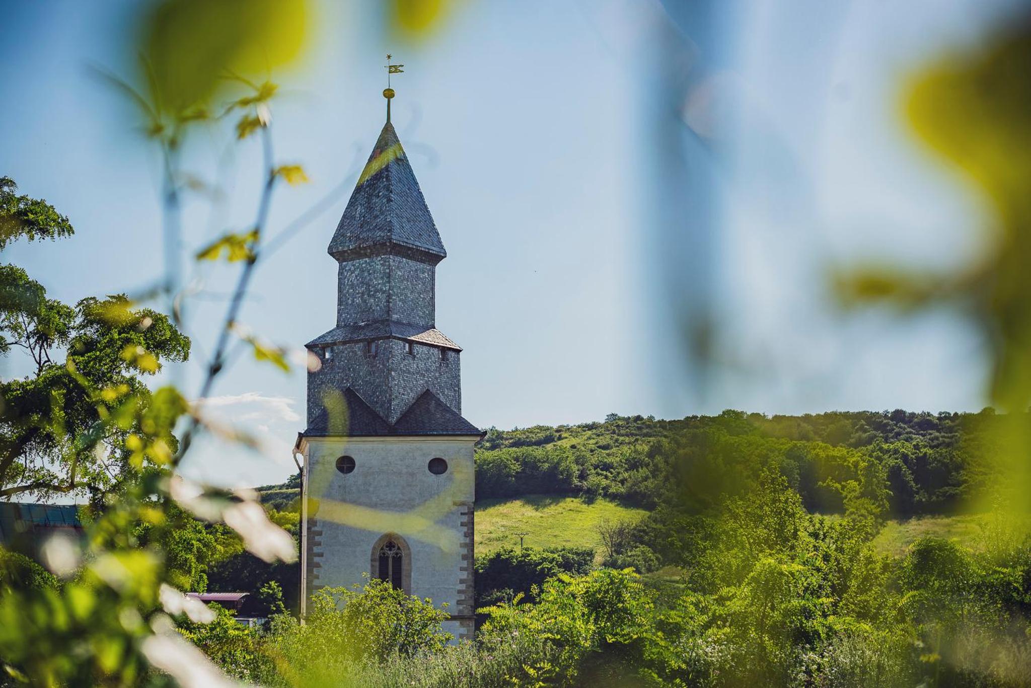 Žabinec - penzion, vinotéka
