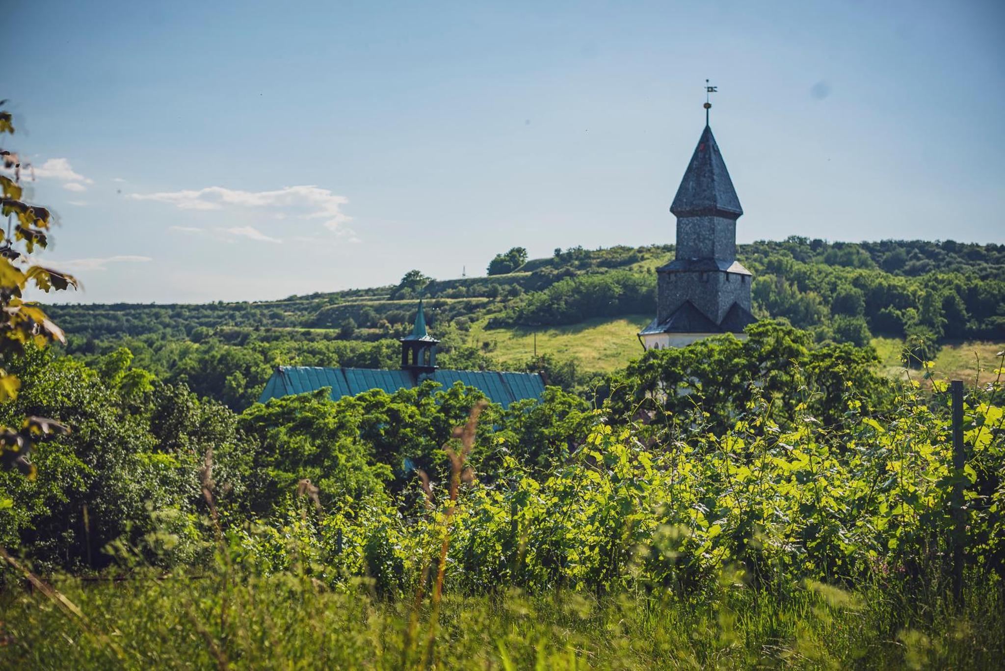 Žabinec - penzion, vinotéka