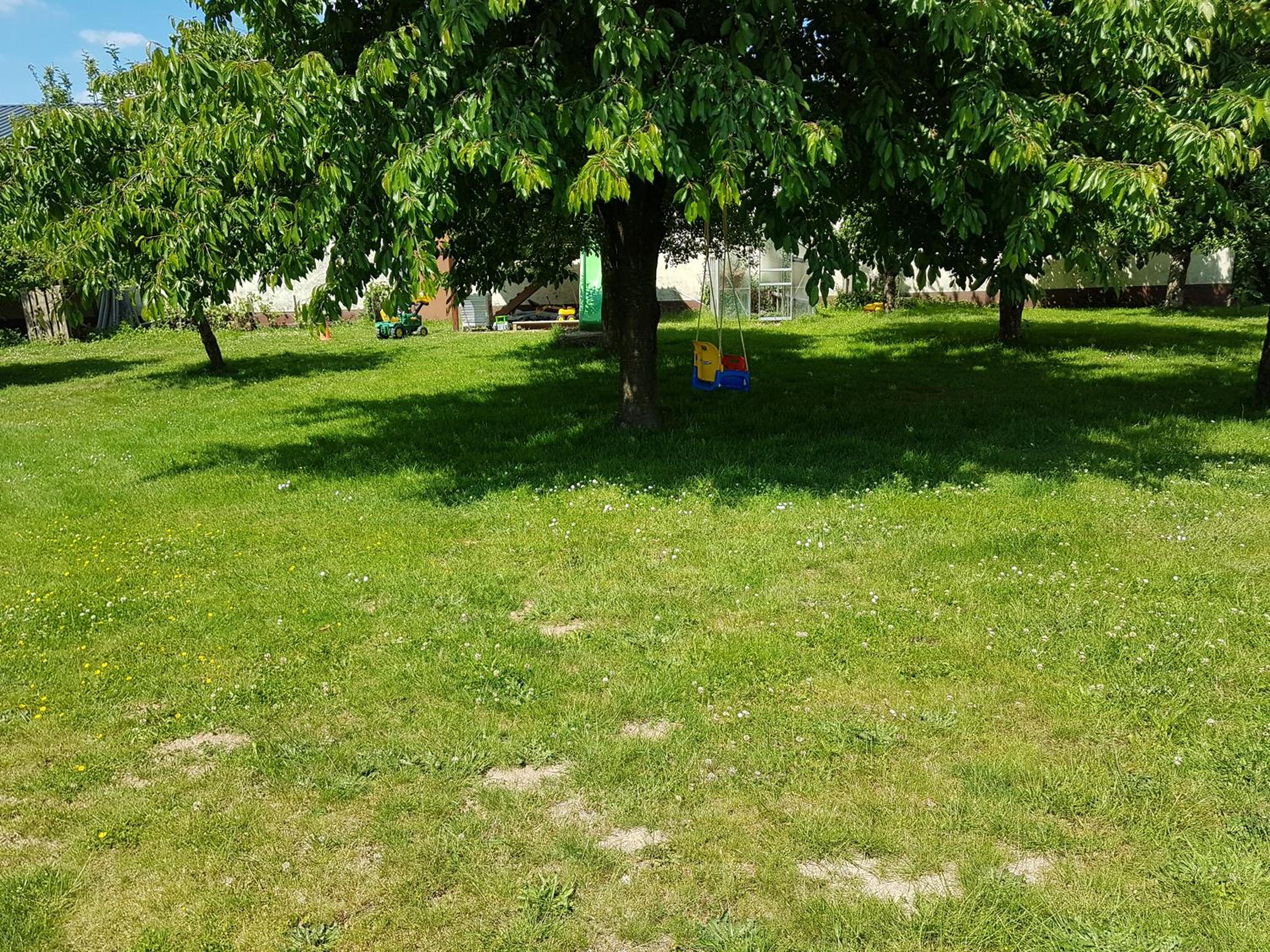 Photo 35