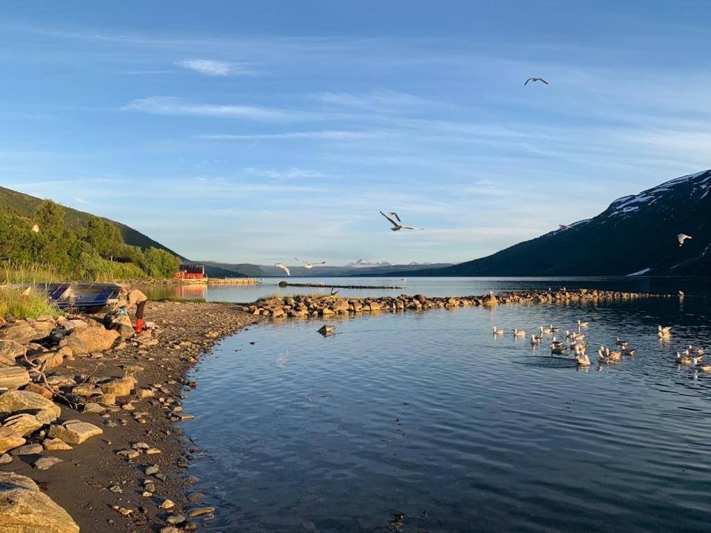 The Red Fjordhouse view 5
