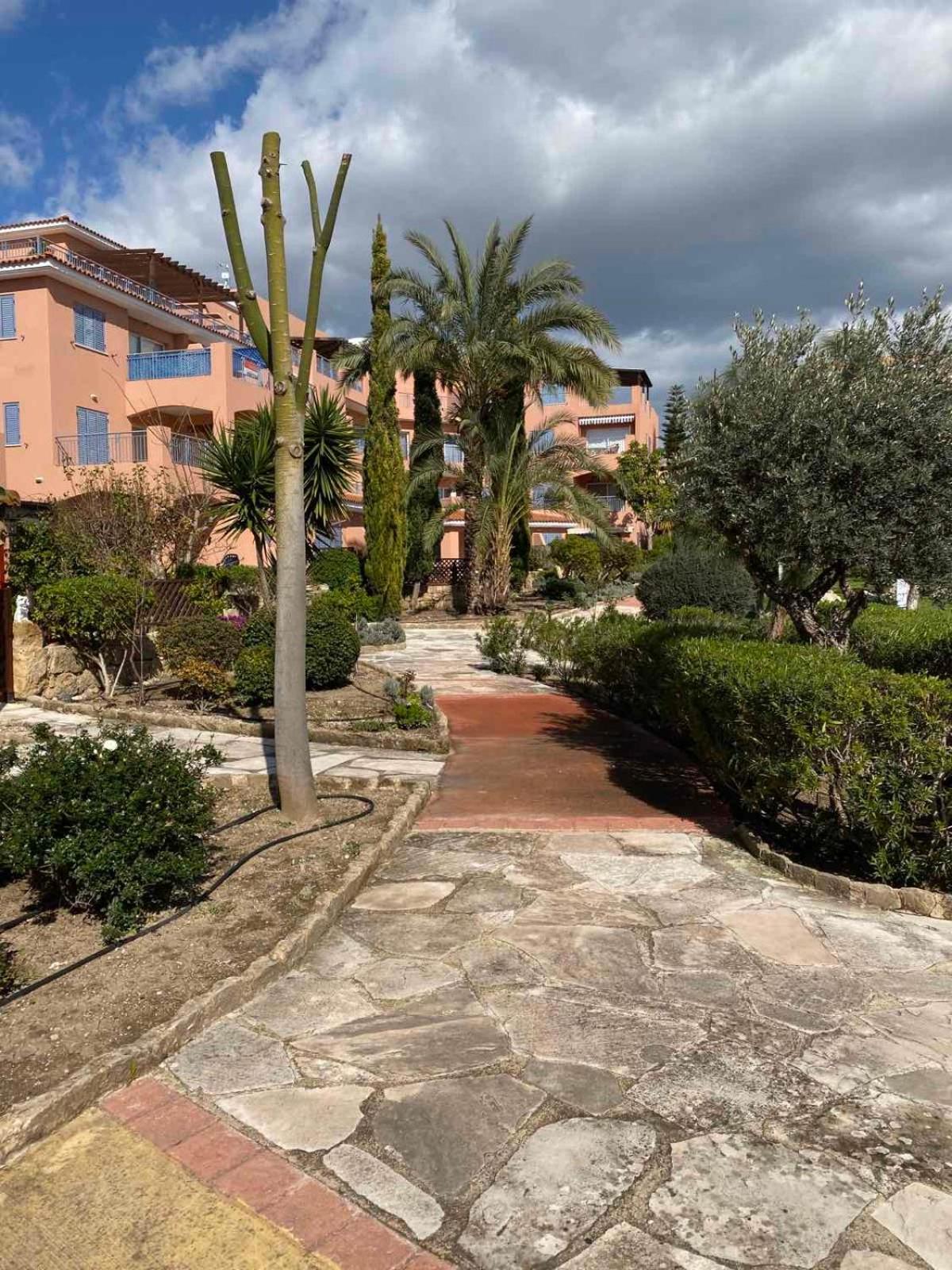 Limnaria Gardens K203 in Paphos