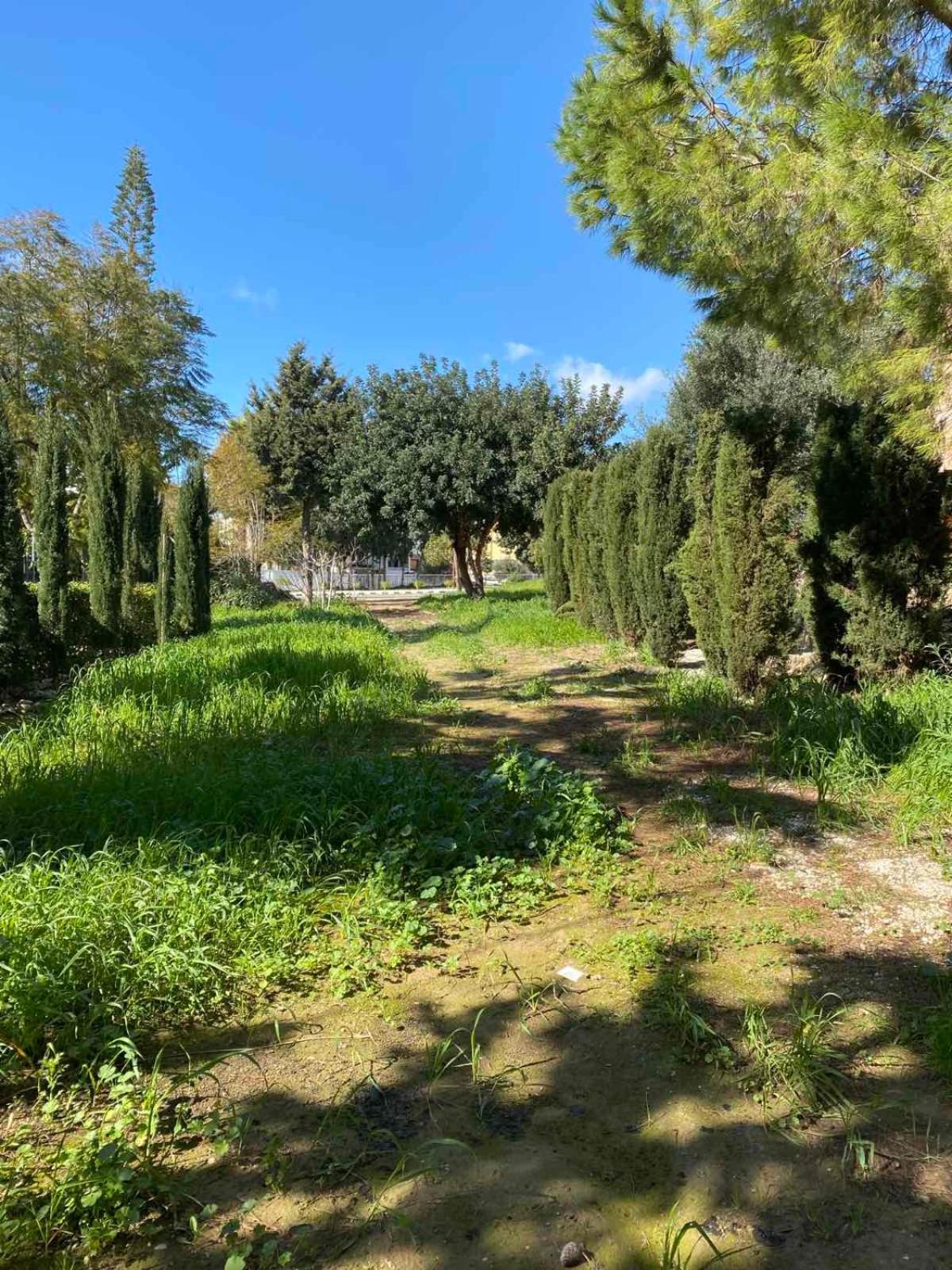 Limnaria Gardens K203 in Paphos