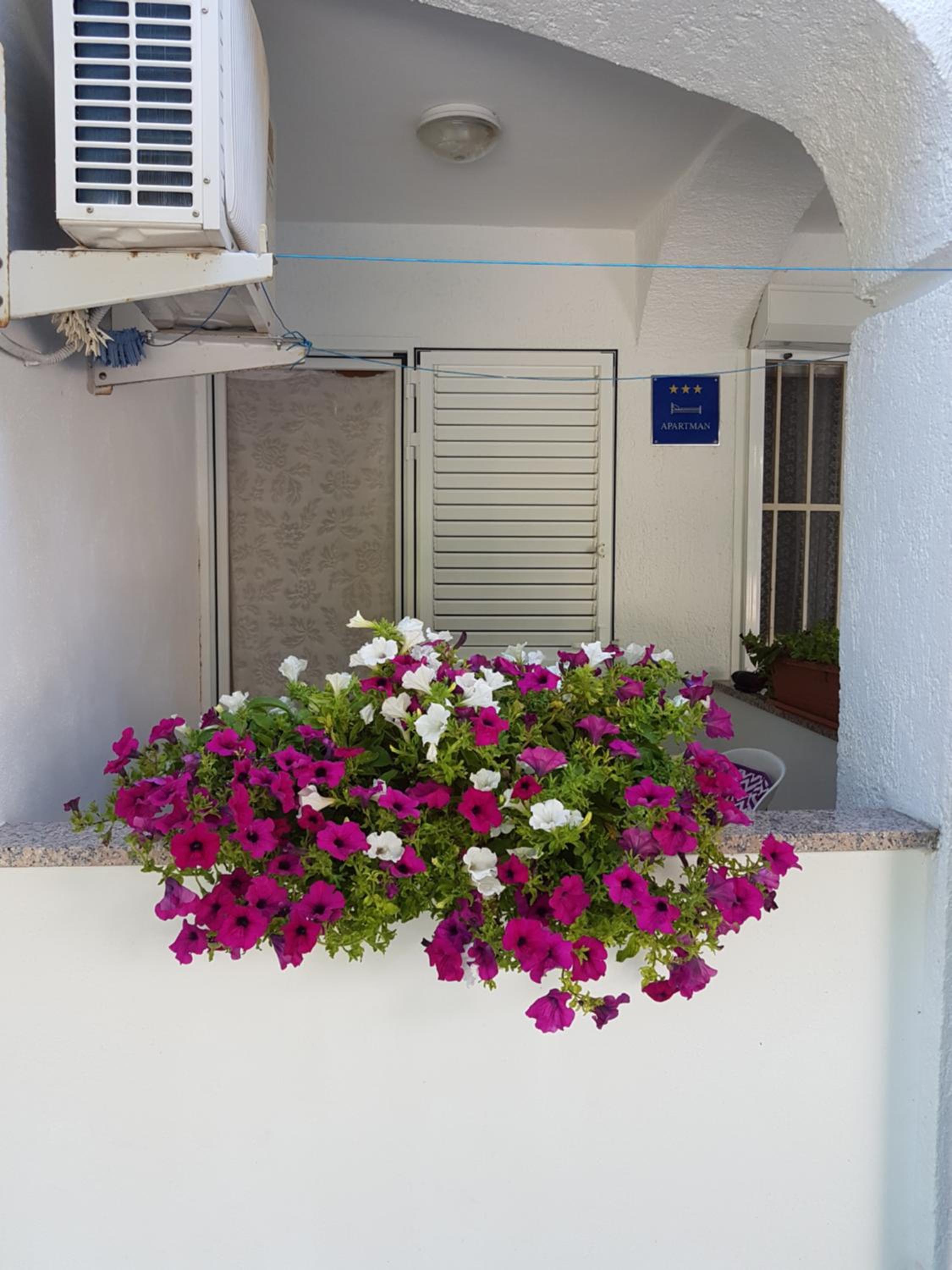 APARTMAN LUKA view 2