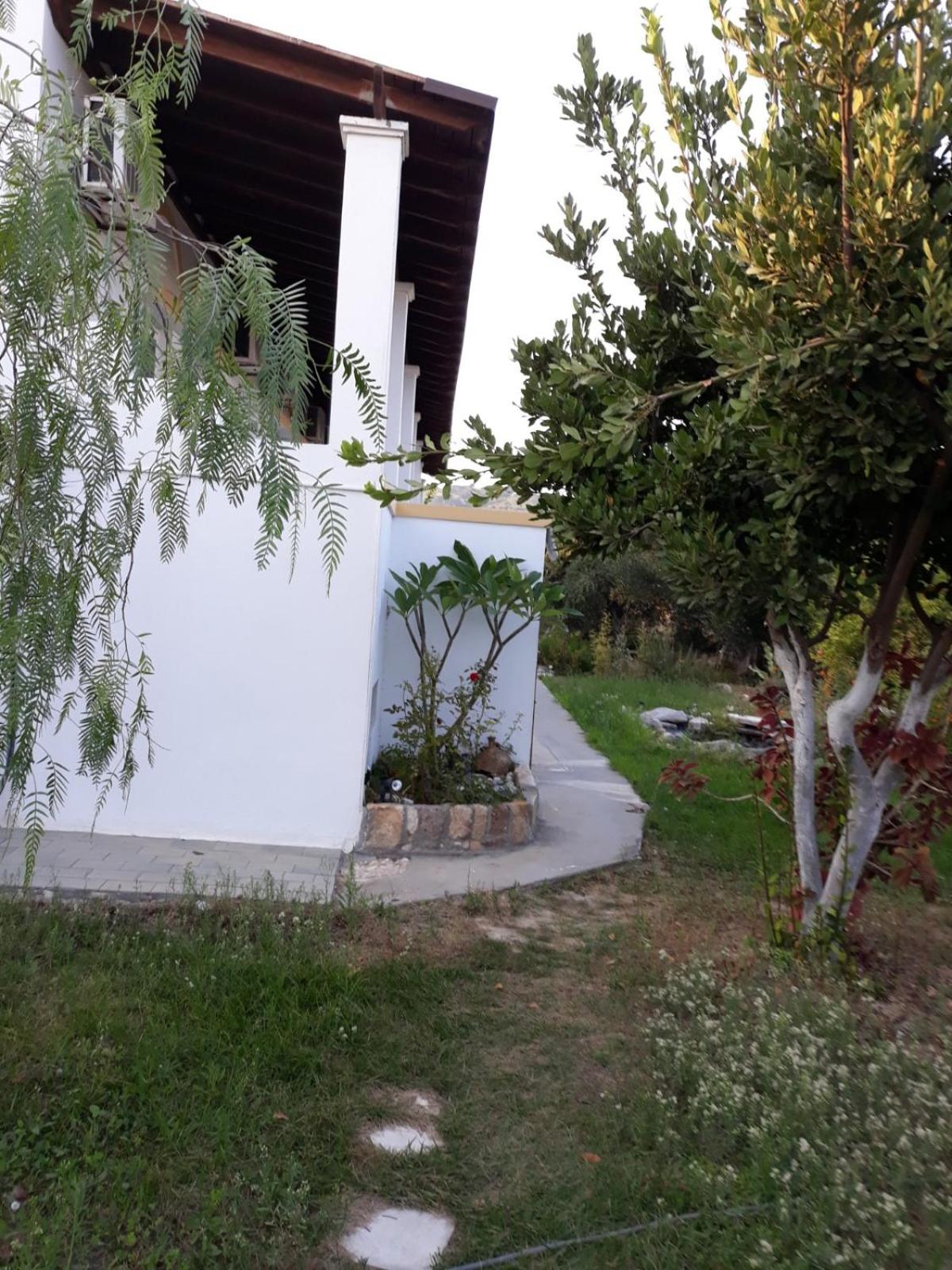 Level Houses