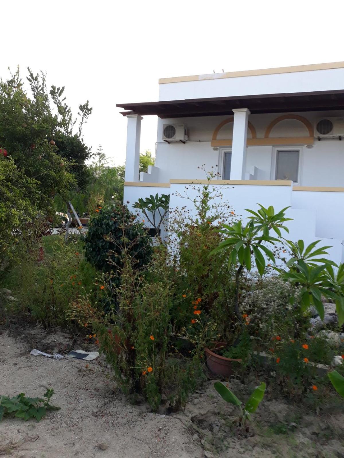 Level Houses