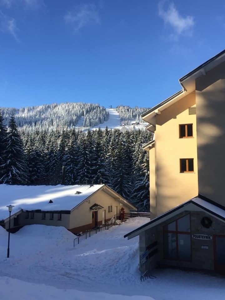 Apartmány Poustevník Resort