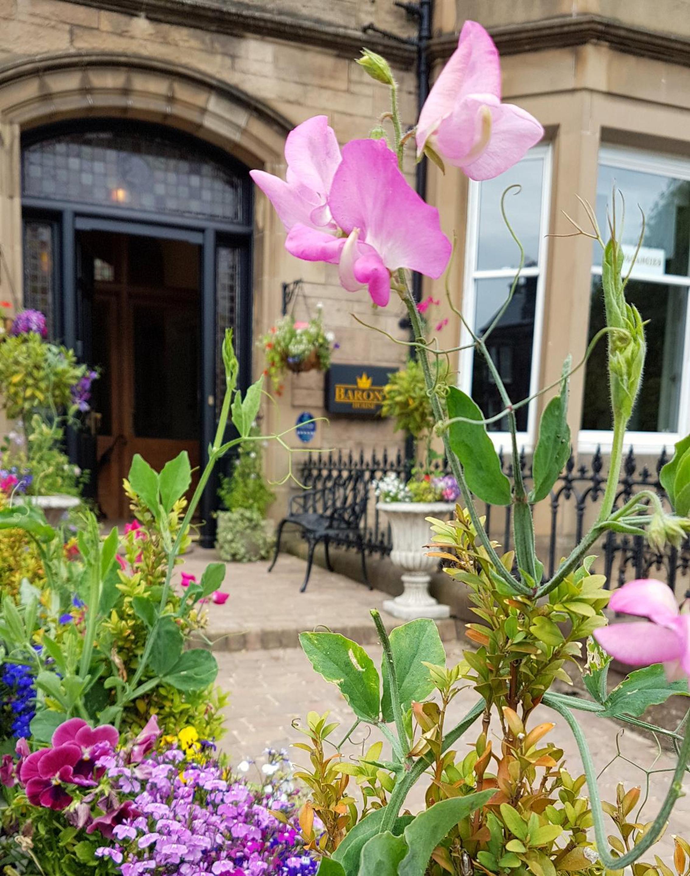 Barony House 5 Star Boutique BK Direct